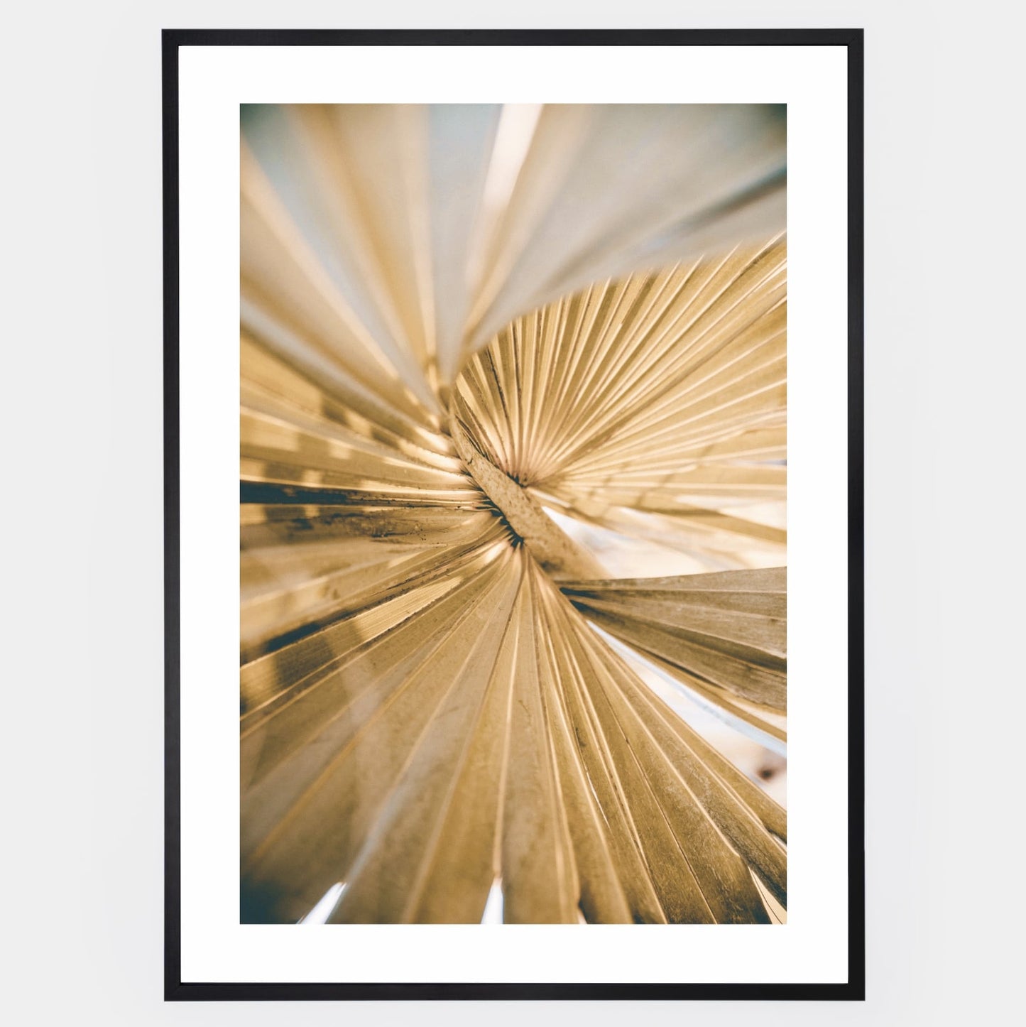 Poster with a photo of a palm leaf