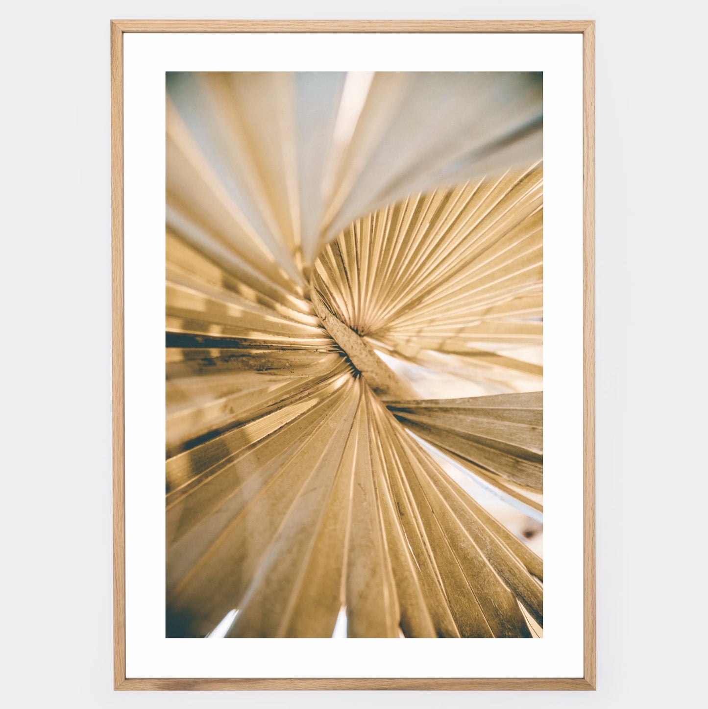 Poster with a photo of a palm leaf