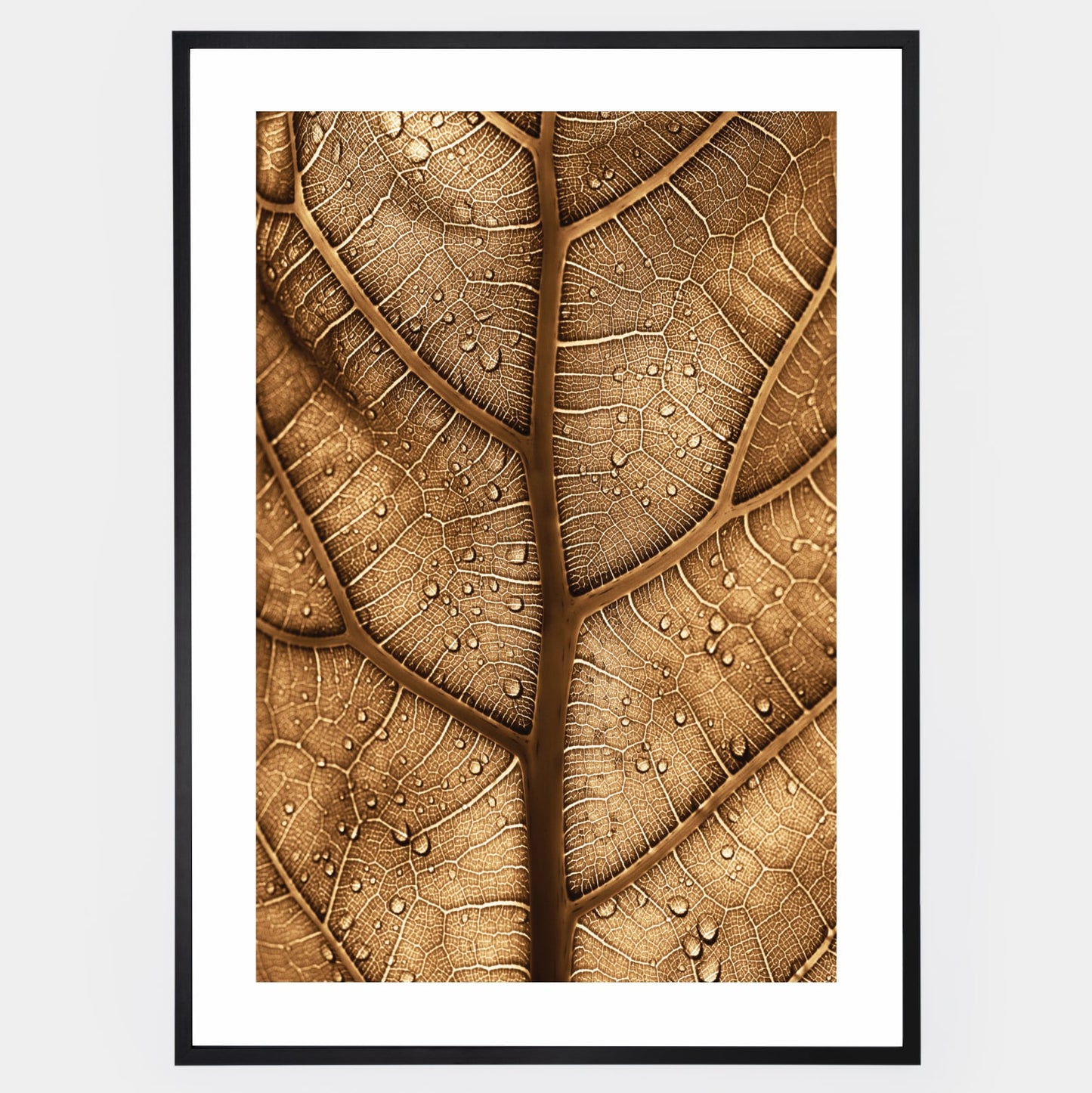 Poster with a photo of a brown leaf