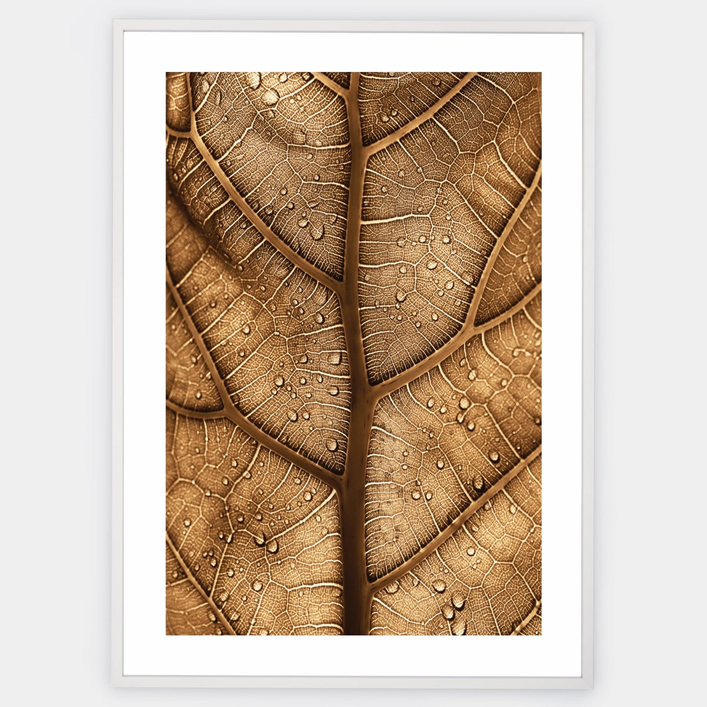Poster with a photo of a brown leaf