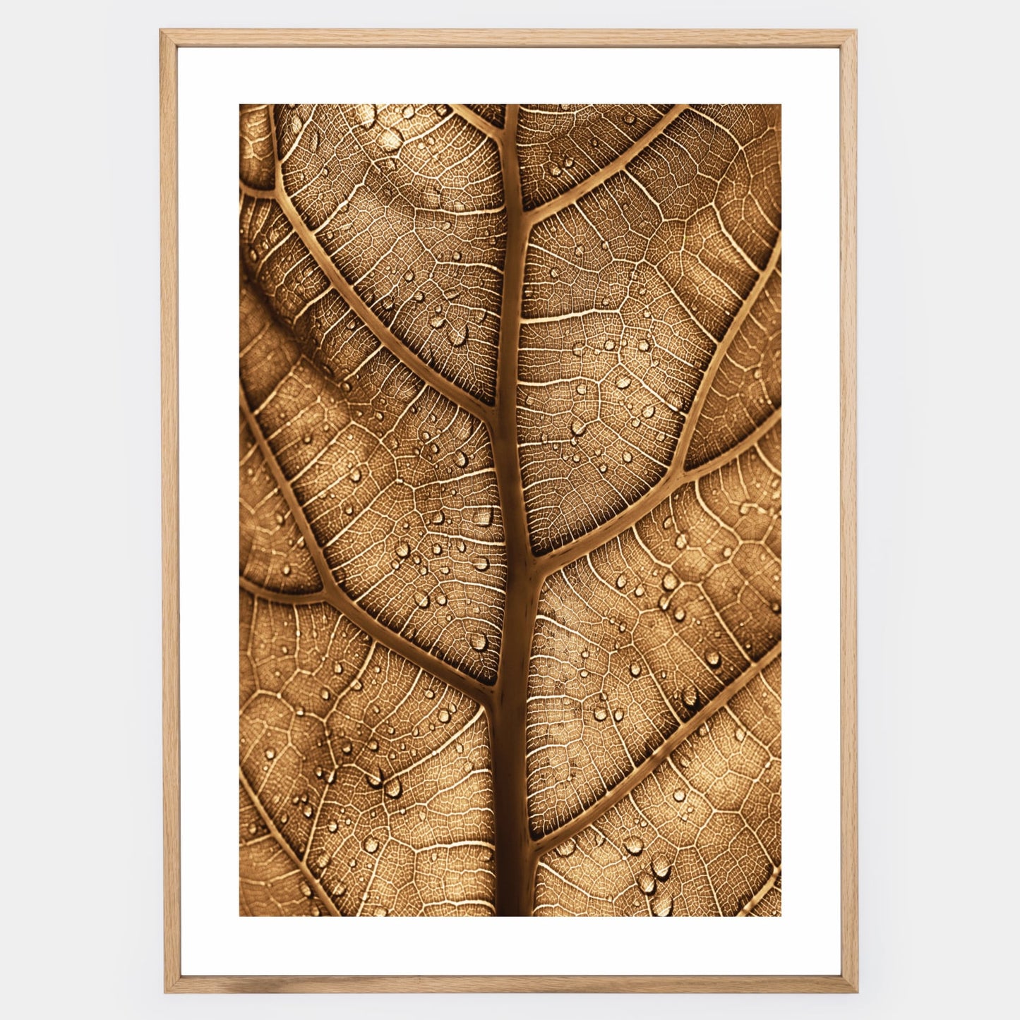 Poster with a photo of a brown leaf