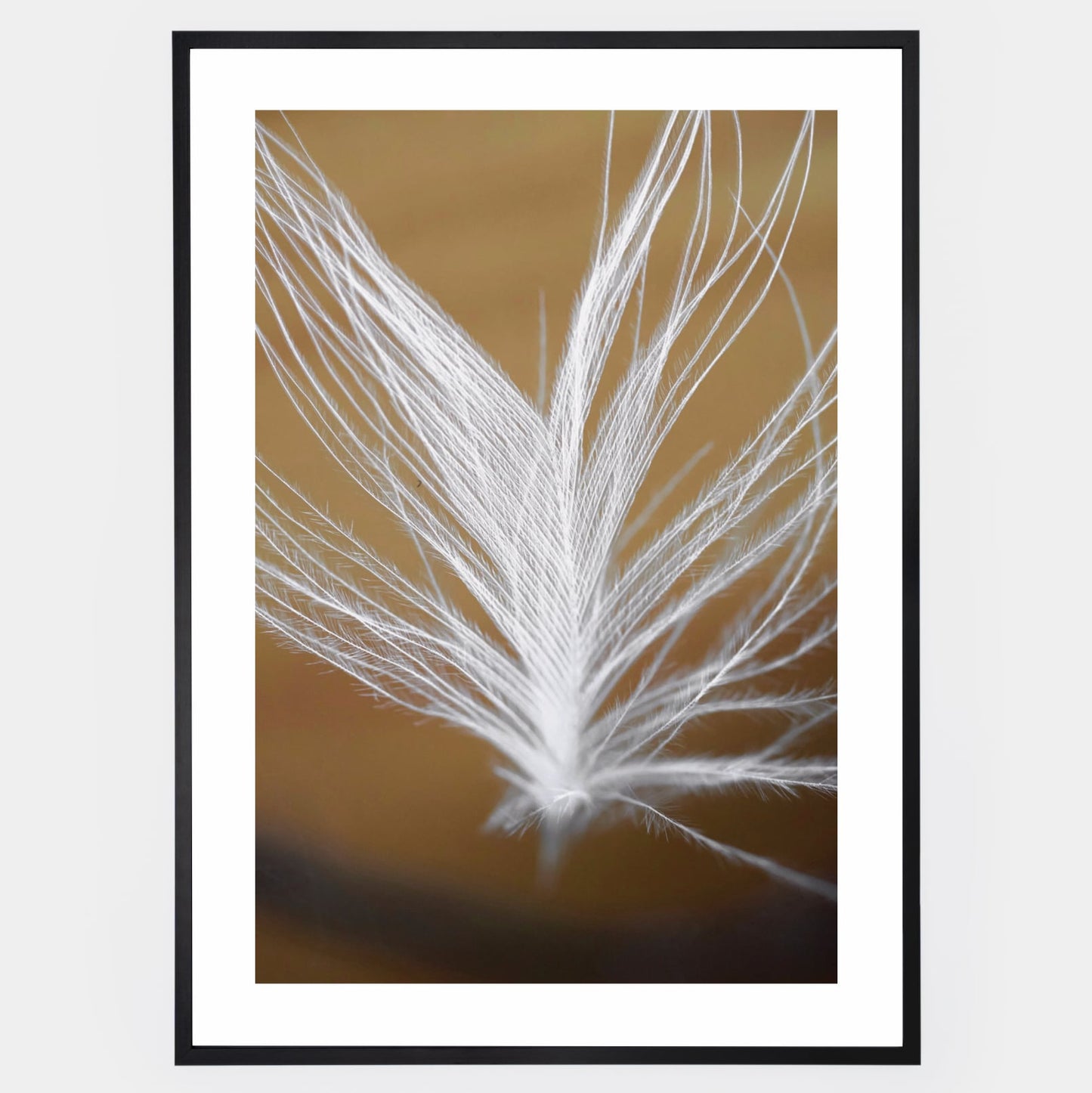 Poster with a photo of a feather on a gold background
