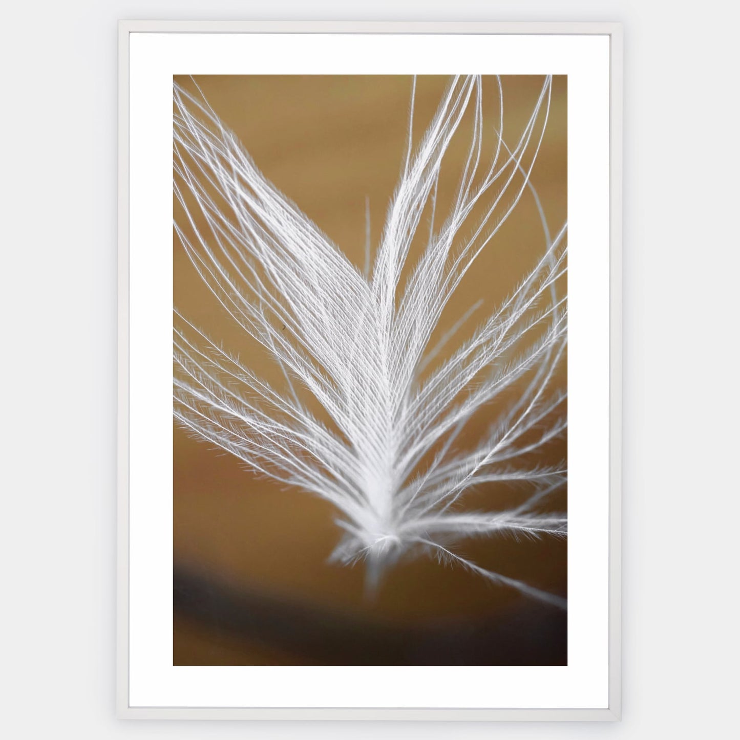 Poster with a photo of a feather on a gold background
