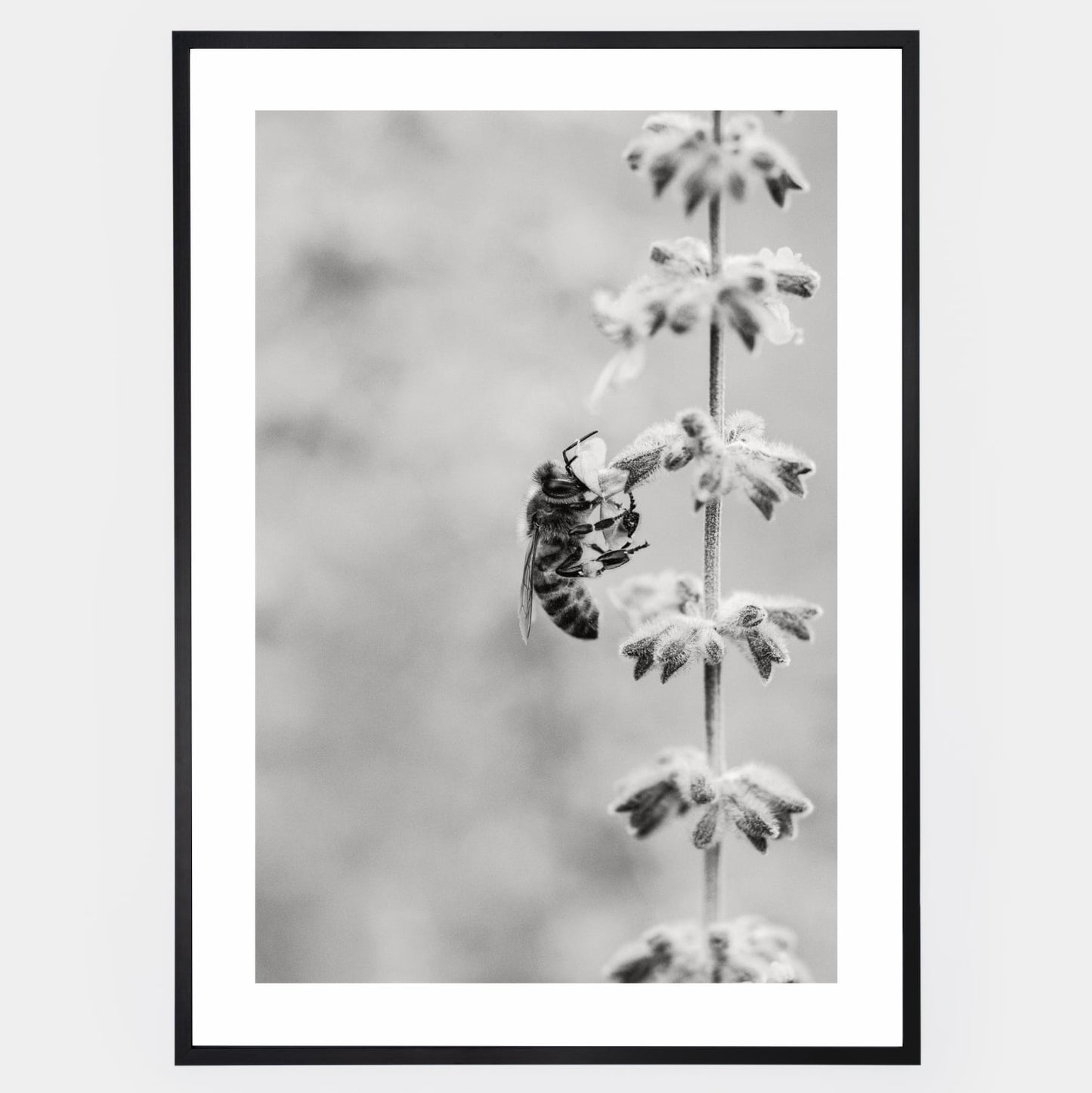 Poster with a photo of a bee