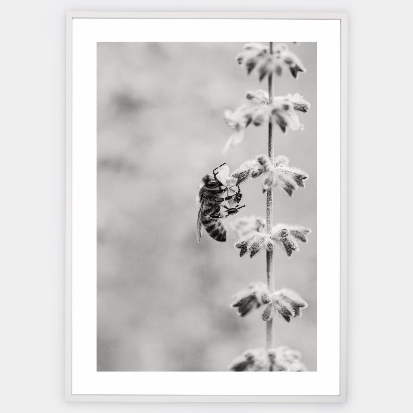 Poster with a photo of a bee