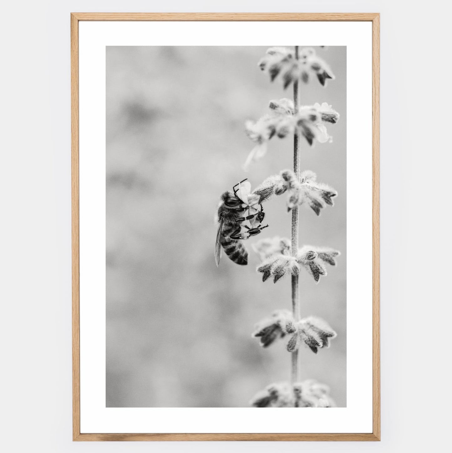 Poster with a photo of a bee