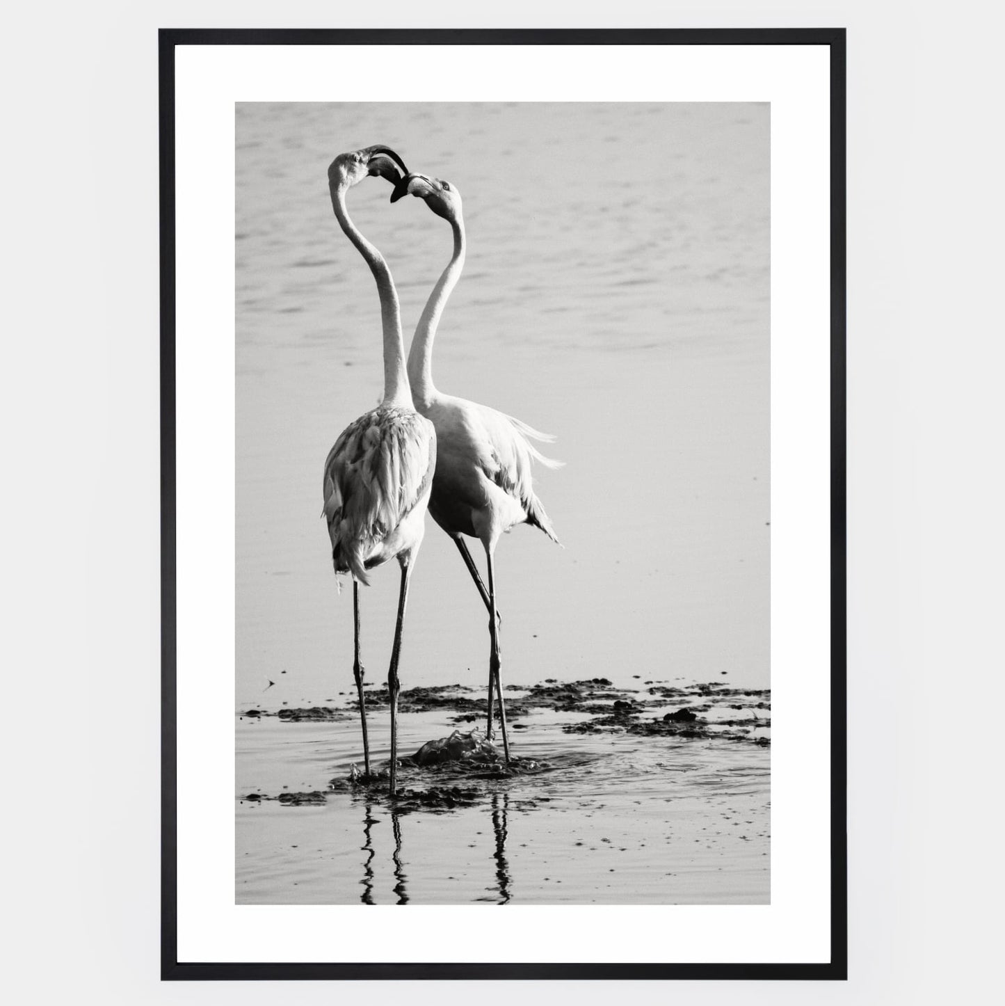 Poster with a photo of two flamingos