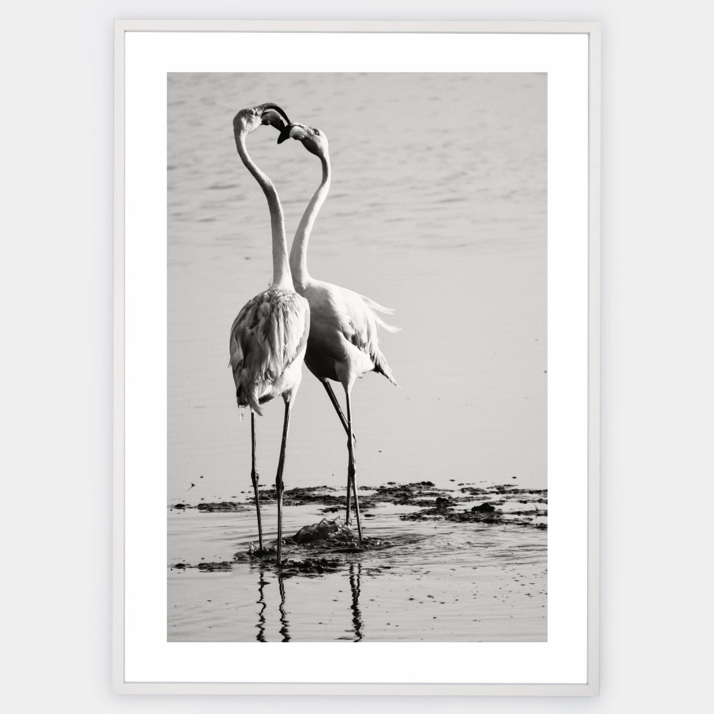 Poster with a photo of two flamingos