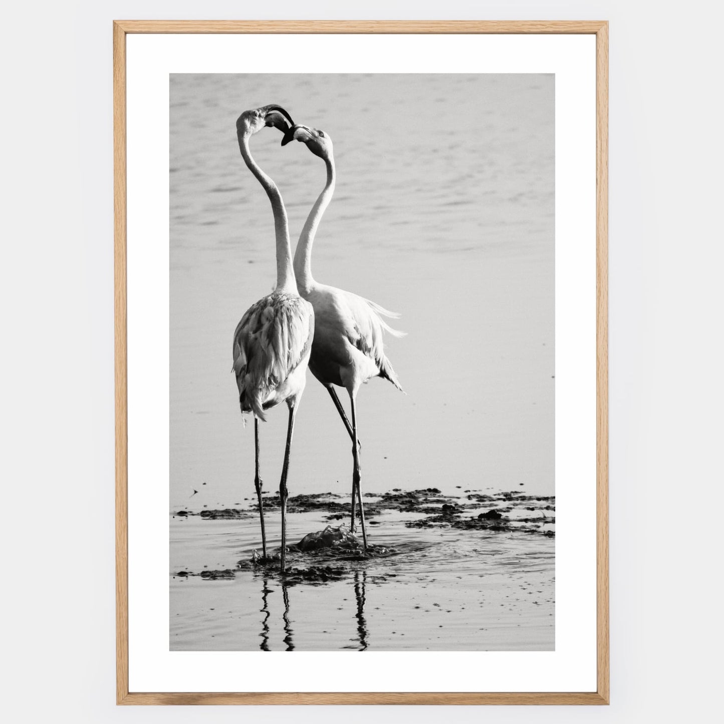 Poster with a photo of two flamingos