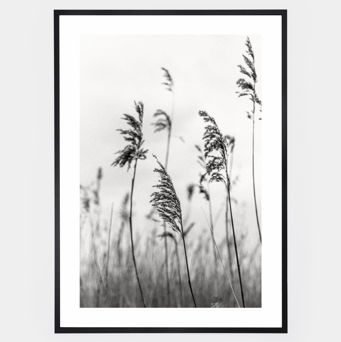 Poster with black and white photo of grass