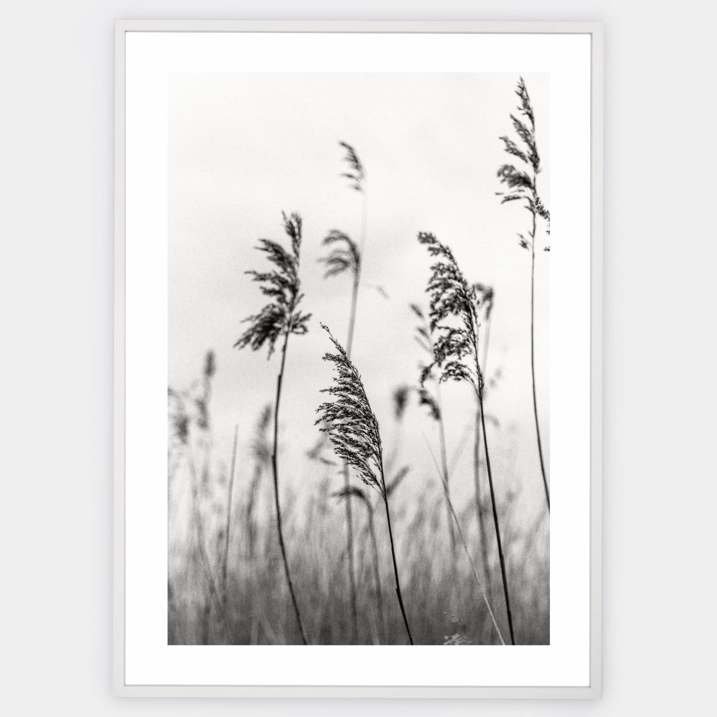Poster with black and white photo of grass