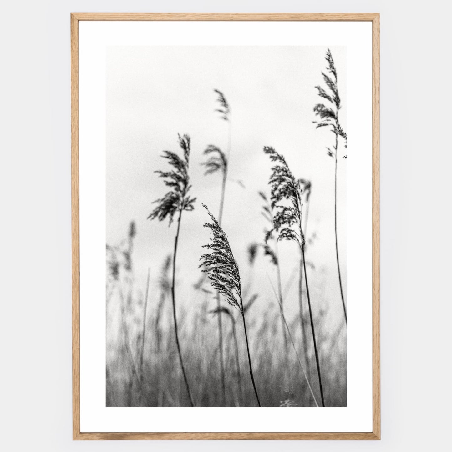 Poster with black and white photo of grass