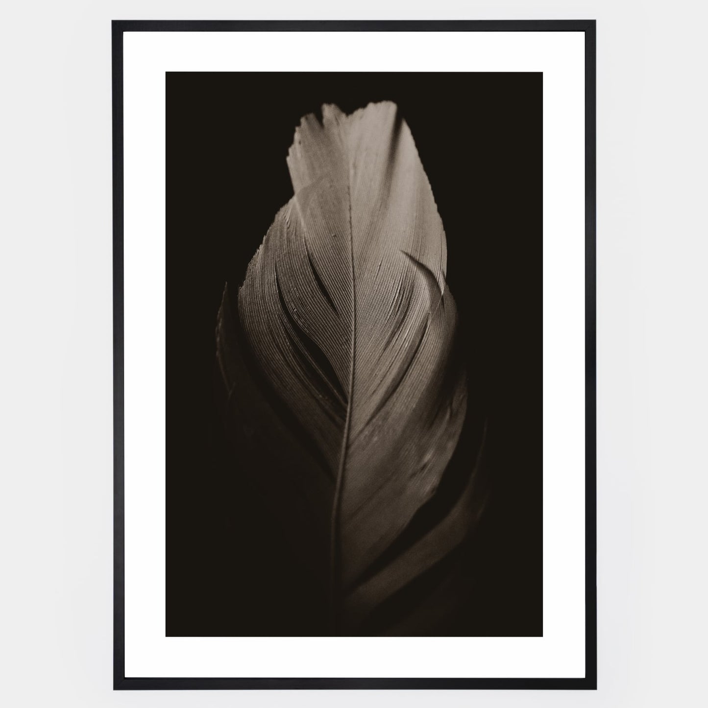 Poster with a photo of a feather on a black background