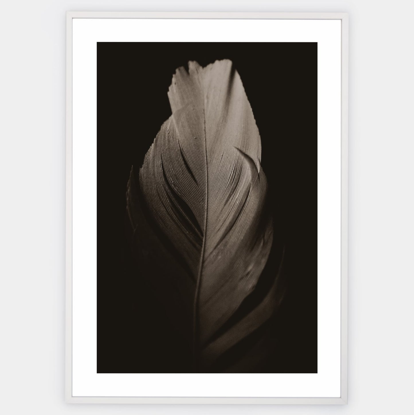 Poster with a photo of a feather on a black background