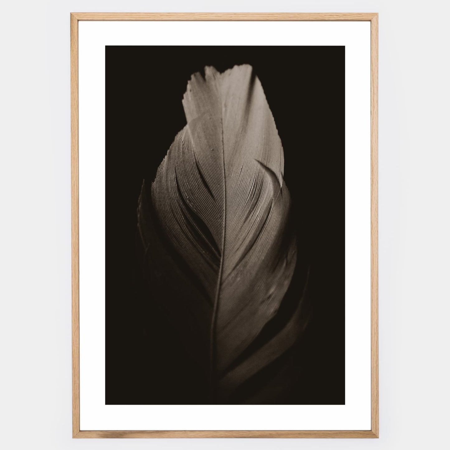Poster with a photo of a feather on a black background