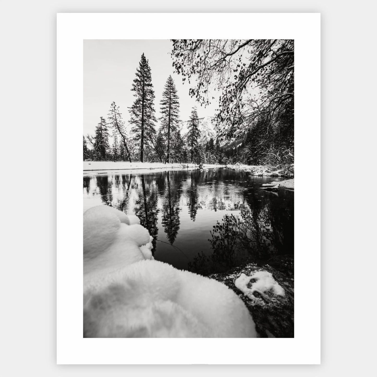 Poster with a photo of a winter pond