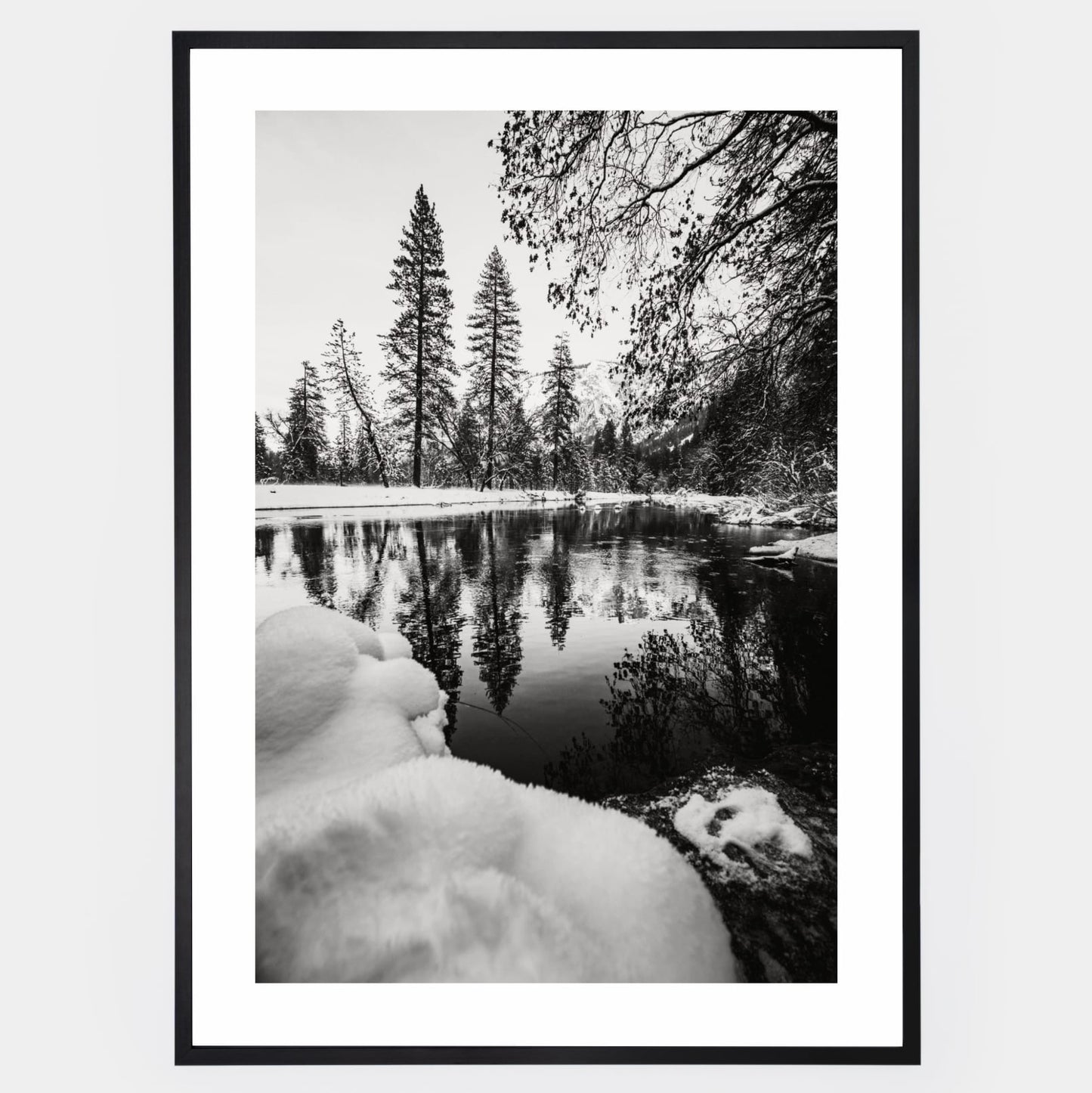 Poster with a photo of a winter pond