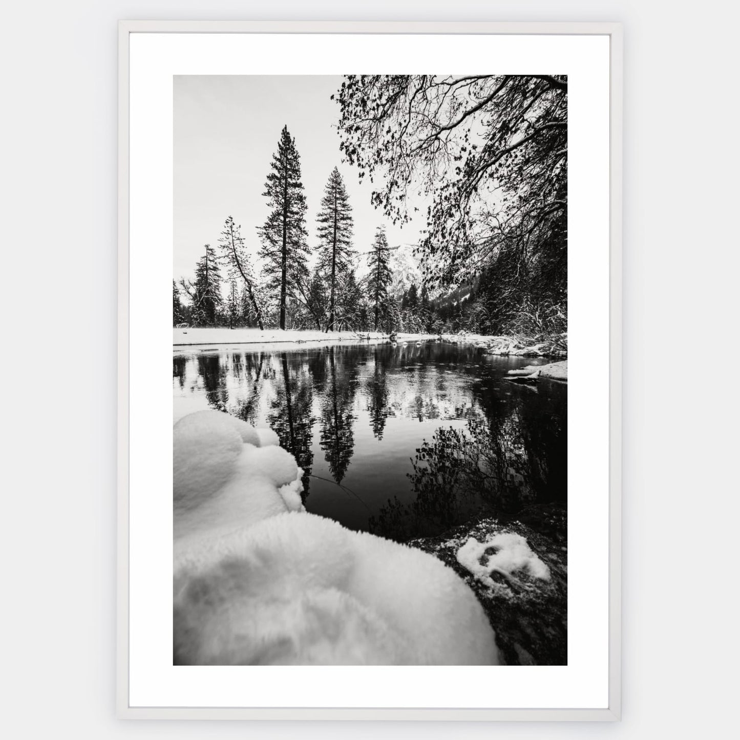 Poster with a photo of a winter pond