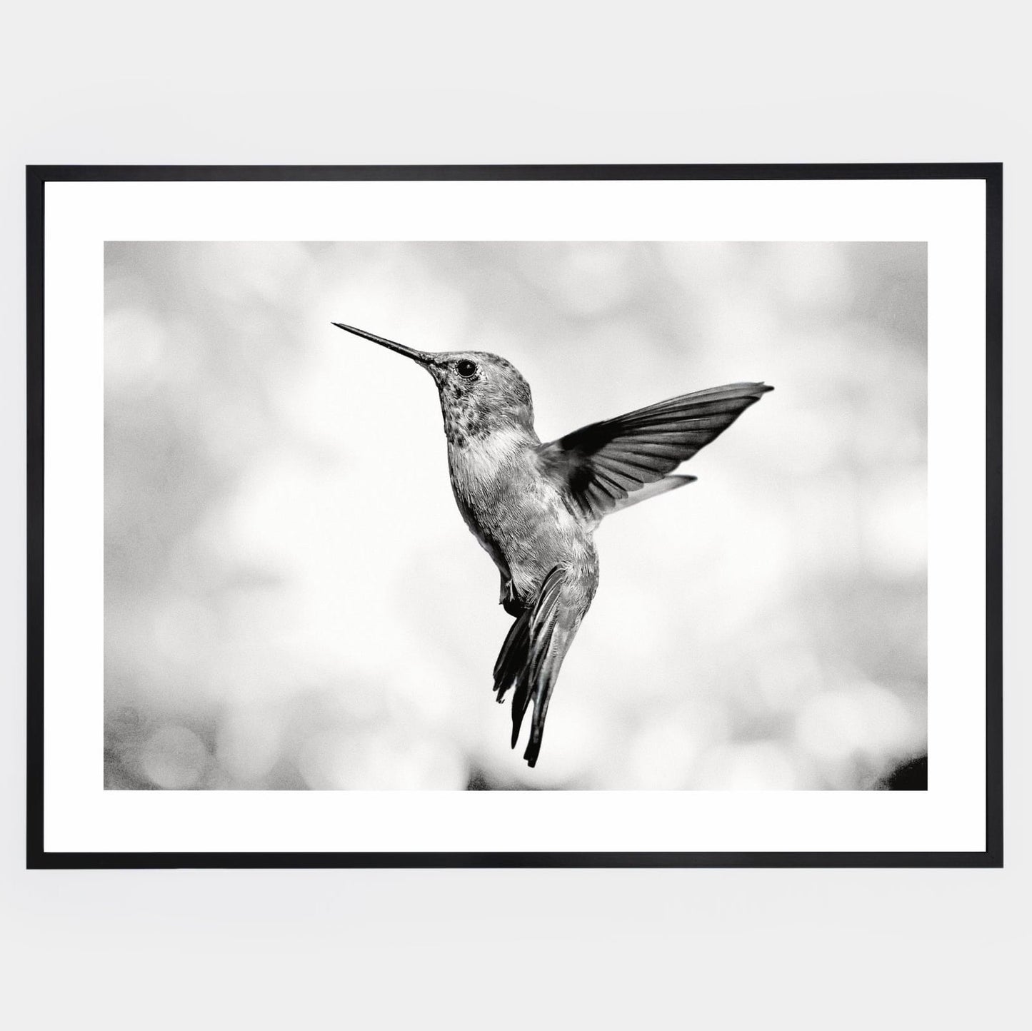 Poster with a photo of a hummingbird in summer