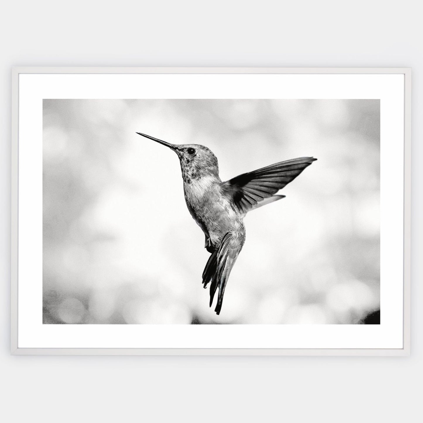 Poster with a photo of a hummingbird in summer