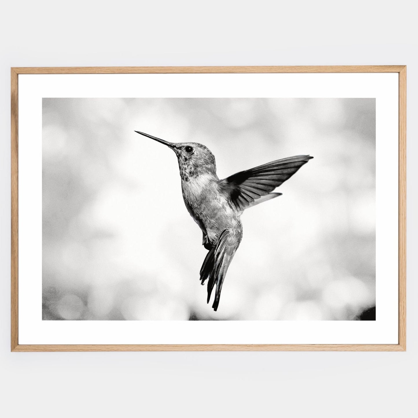 Poster with a photo of a hummingbird in summer