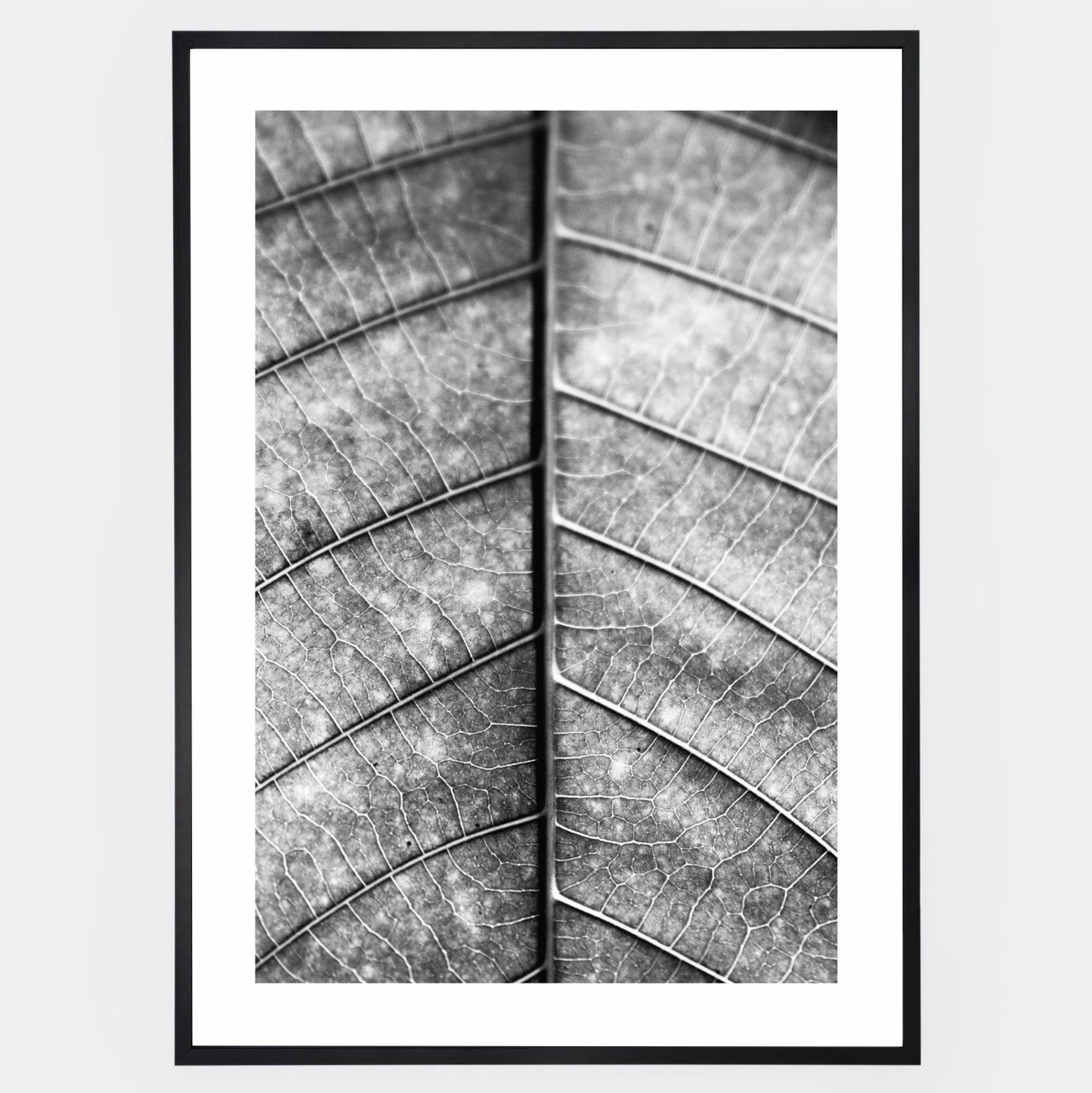 Poster with a black and white photo of a leaf
