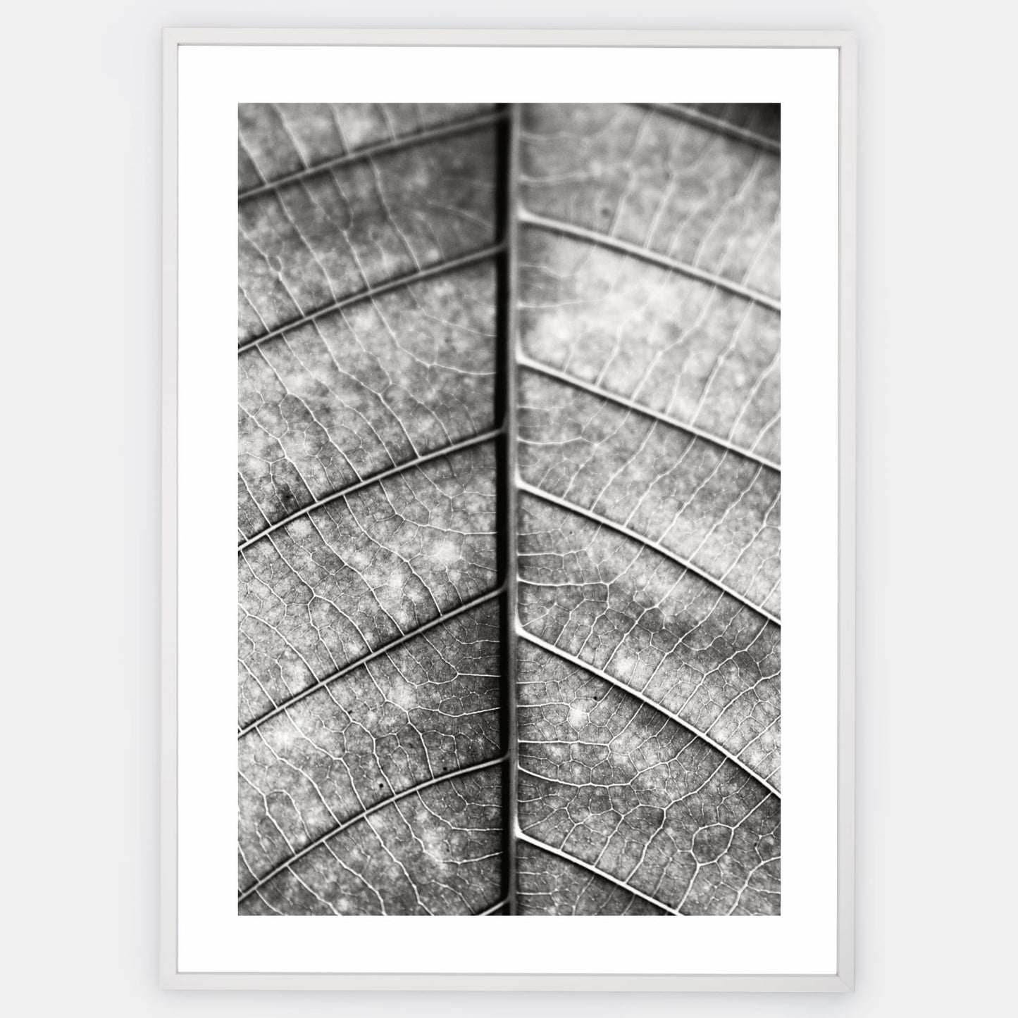 Poster with a black and white photo of a leaf