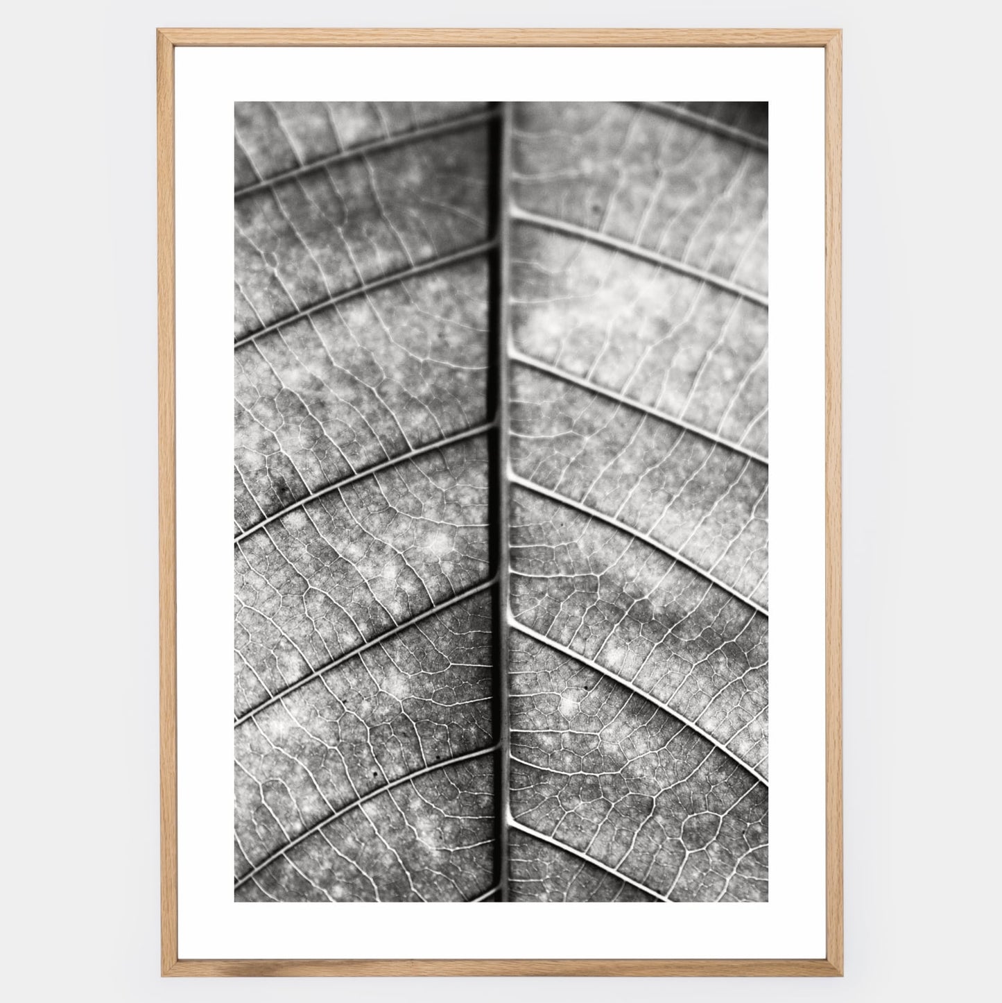 Poster with a black and white photo of a leaf