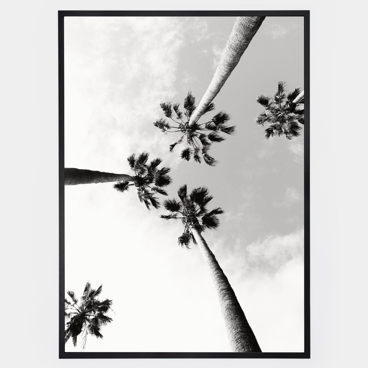 Poster with black and white photo of palm trees