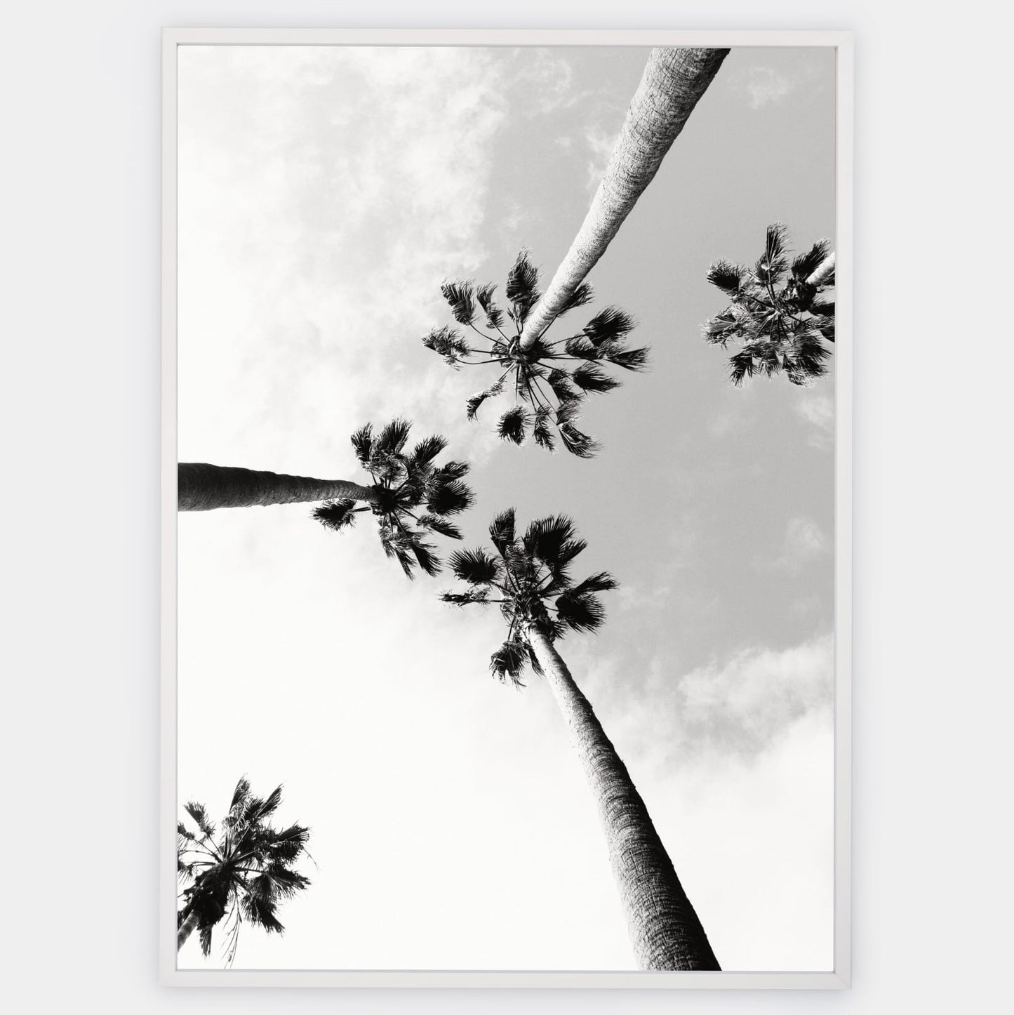 Poster with black and white photo of palm trees