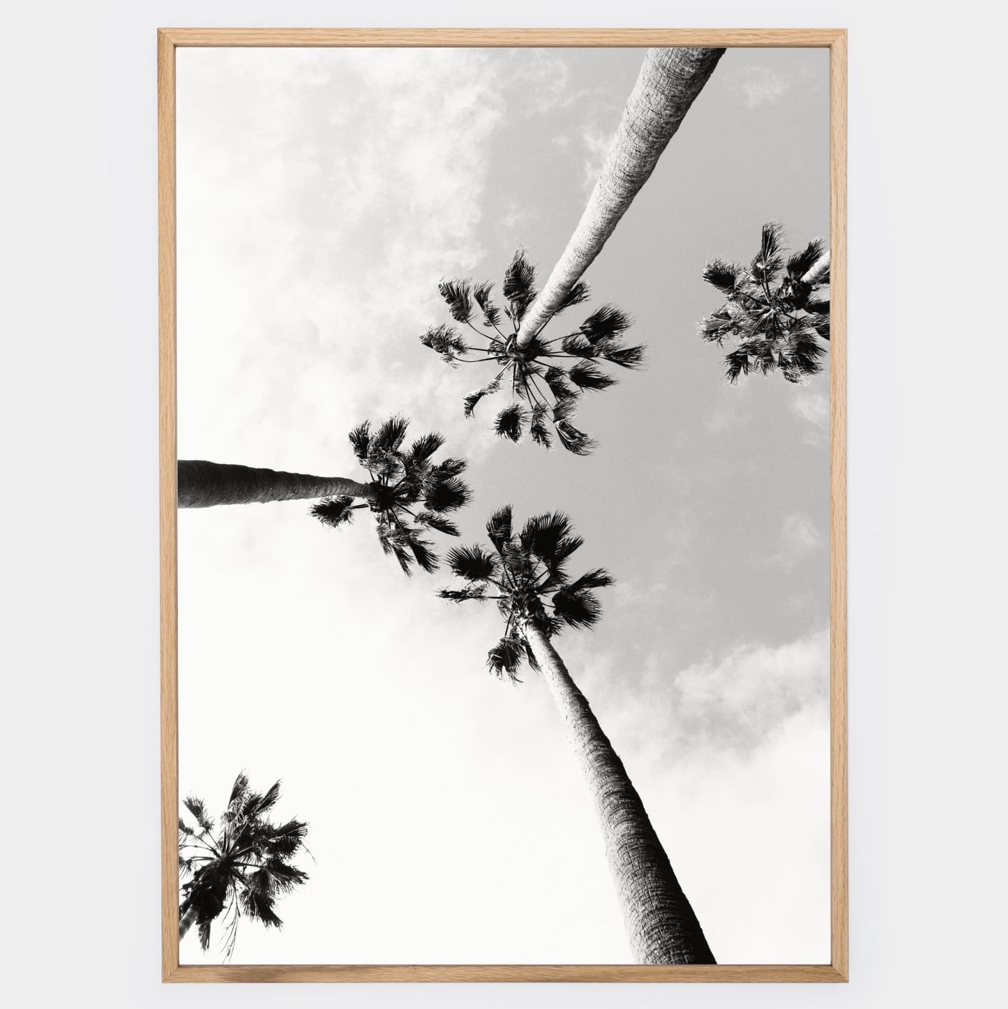 Poster with black and white photo of palm trees