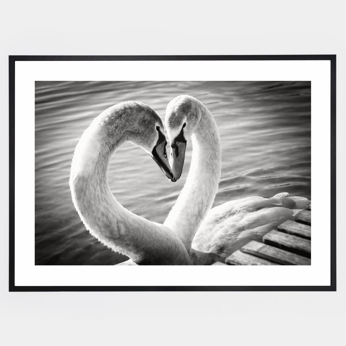 Poster with a black and white photo of two swans