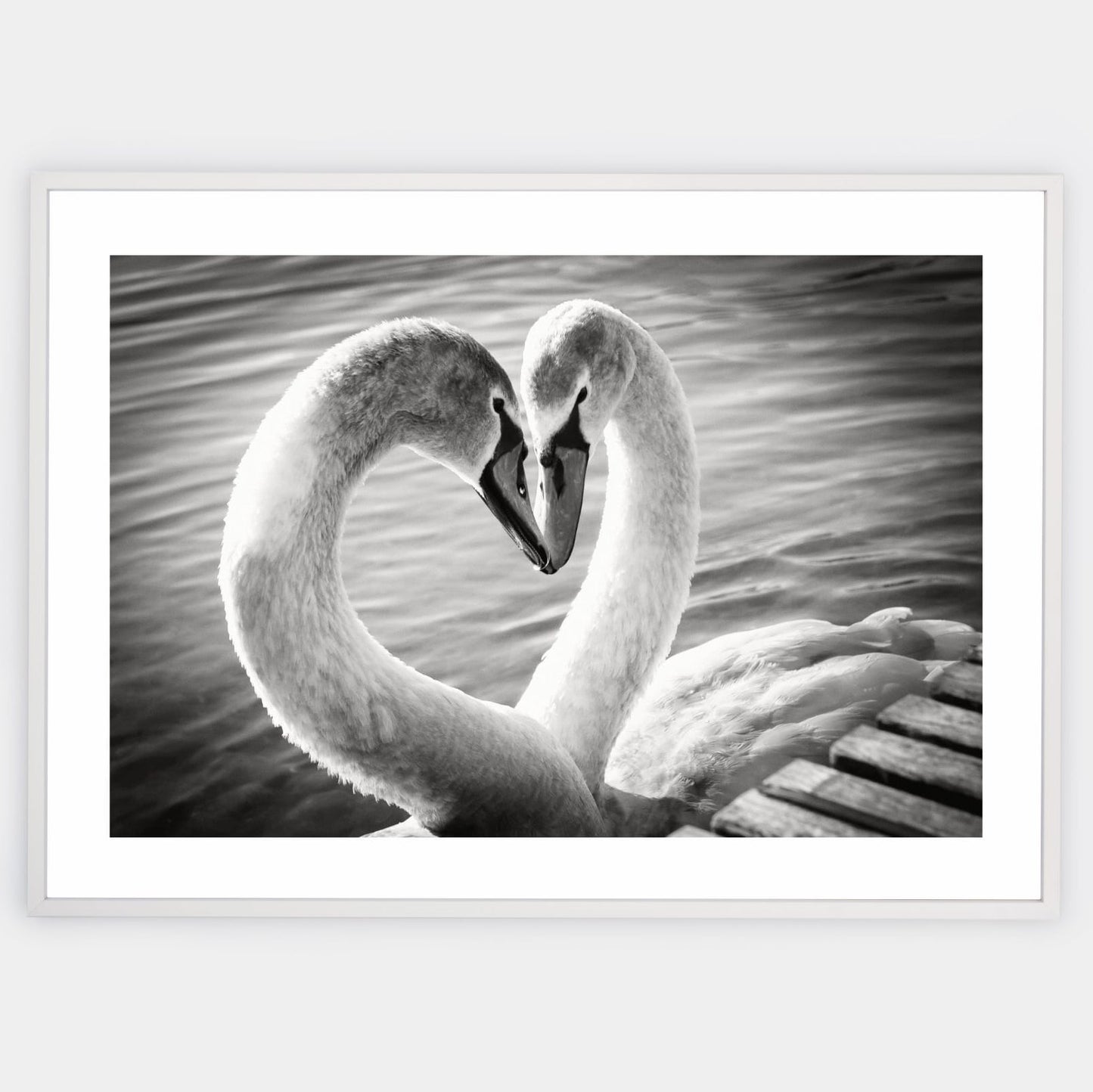 Poster with a black and white photo of two swans