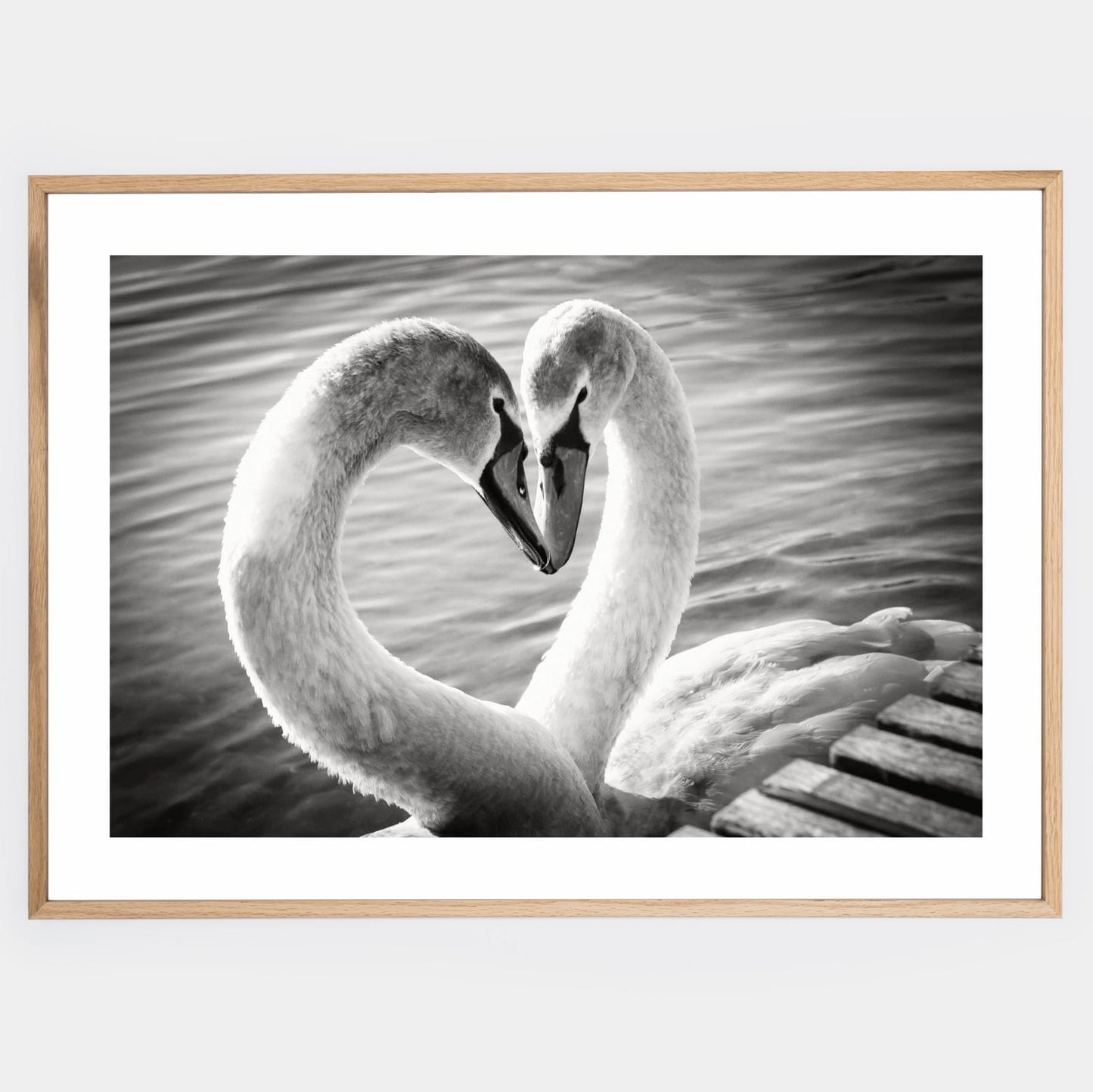 Poster with a black and white photo of two swans