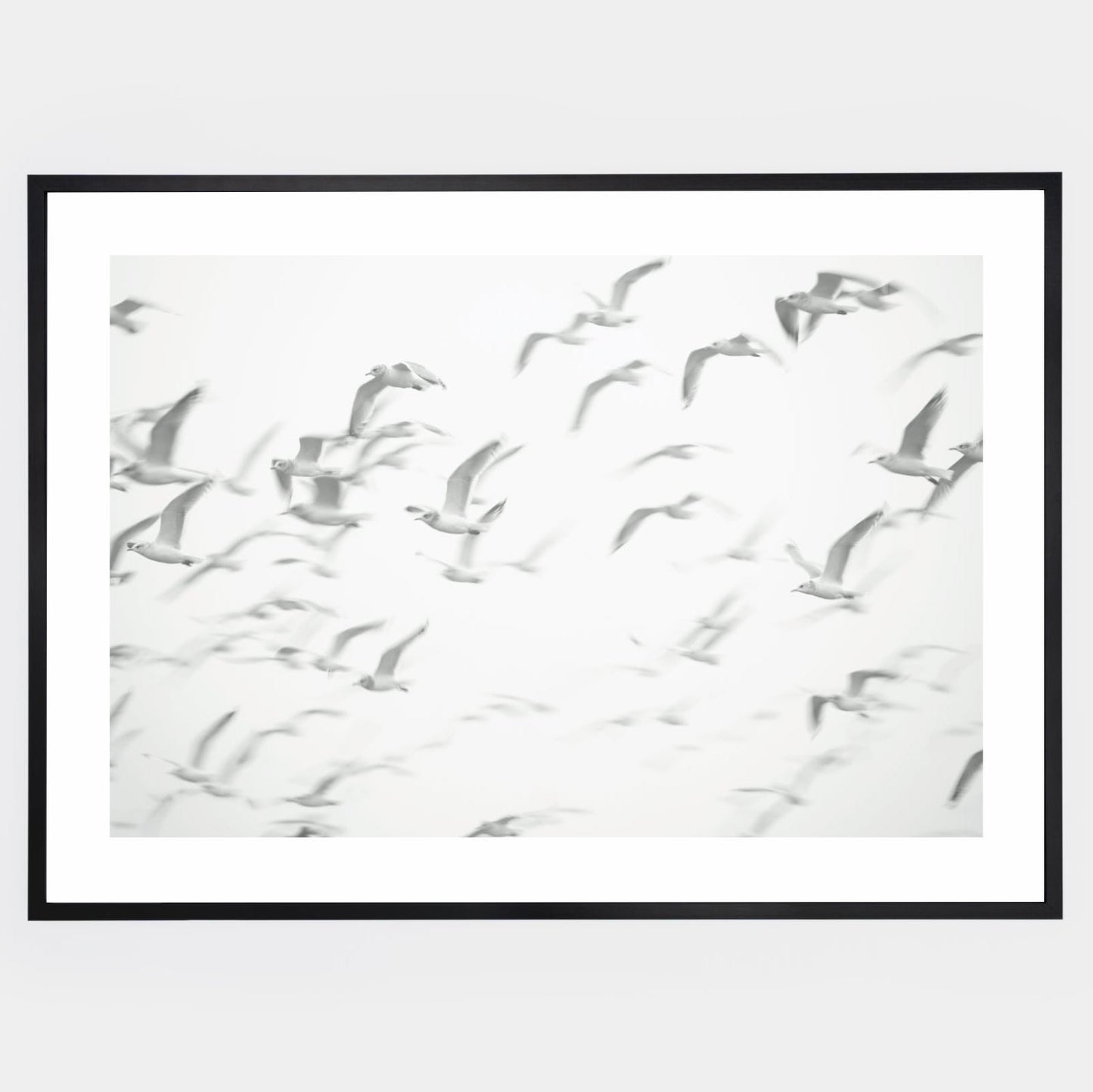 Poster with a photo of flying seagulls