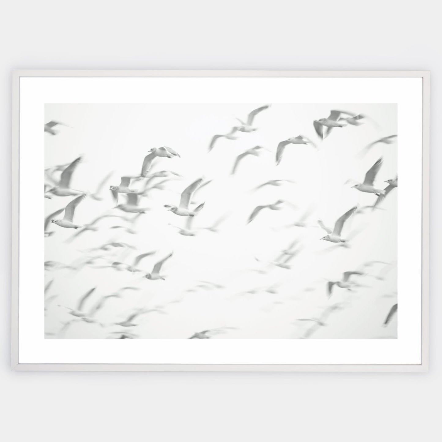 Poster with a photo of flying seagulls