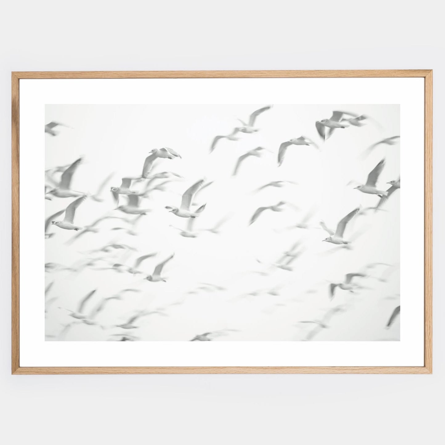 Poster with a photo of flying seagulls