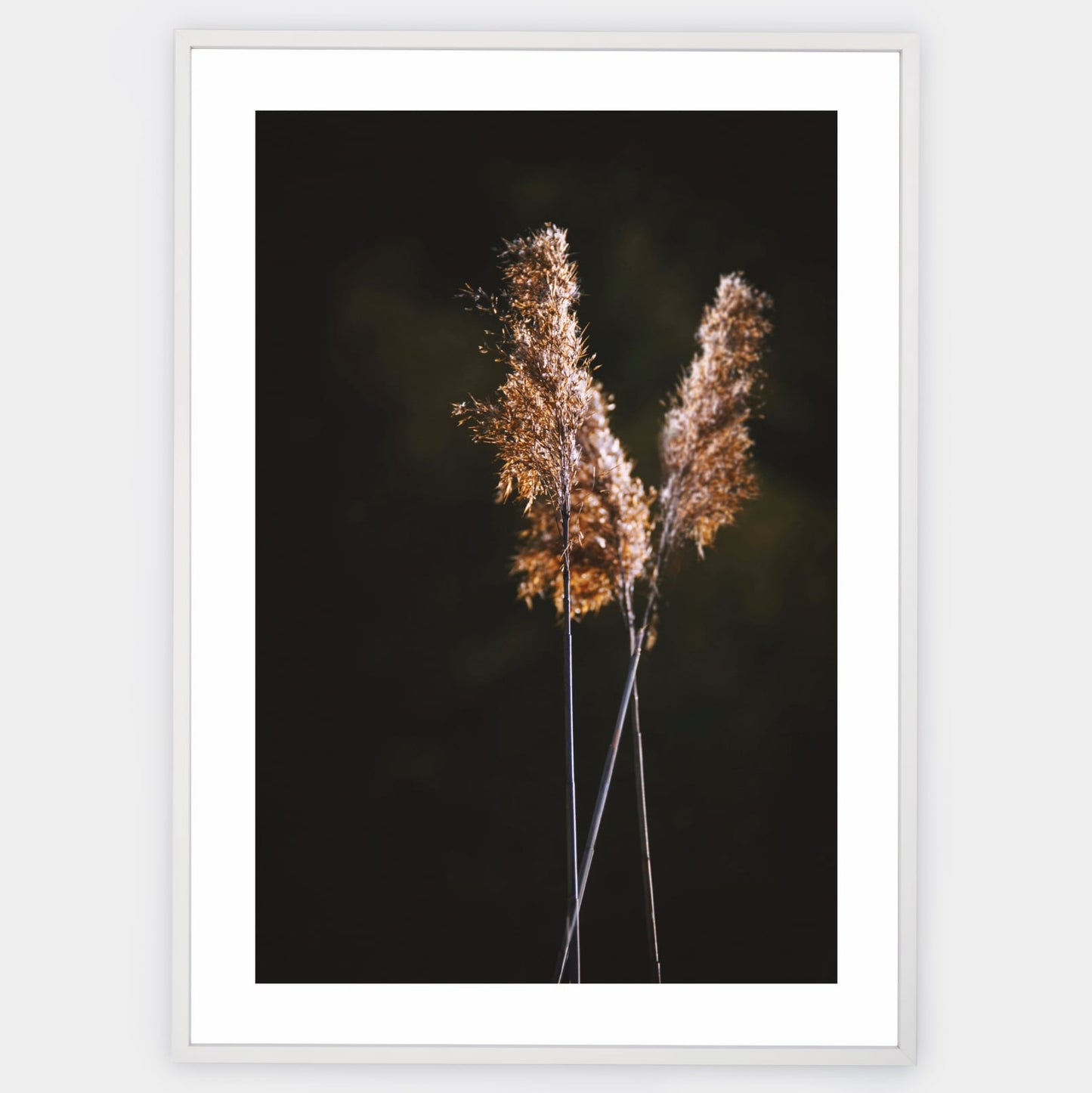Poster with a photo of grass on a black background
