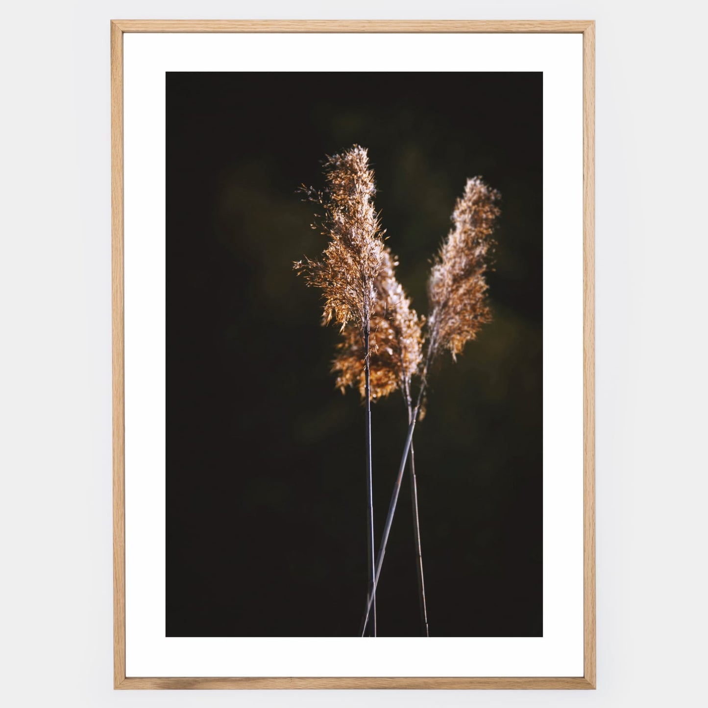 Poster with a photo of grass on a black background