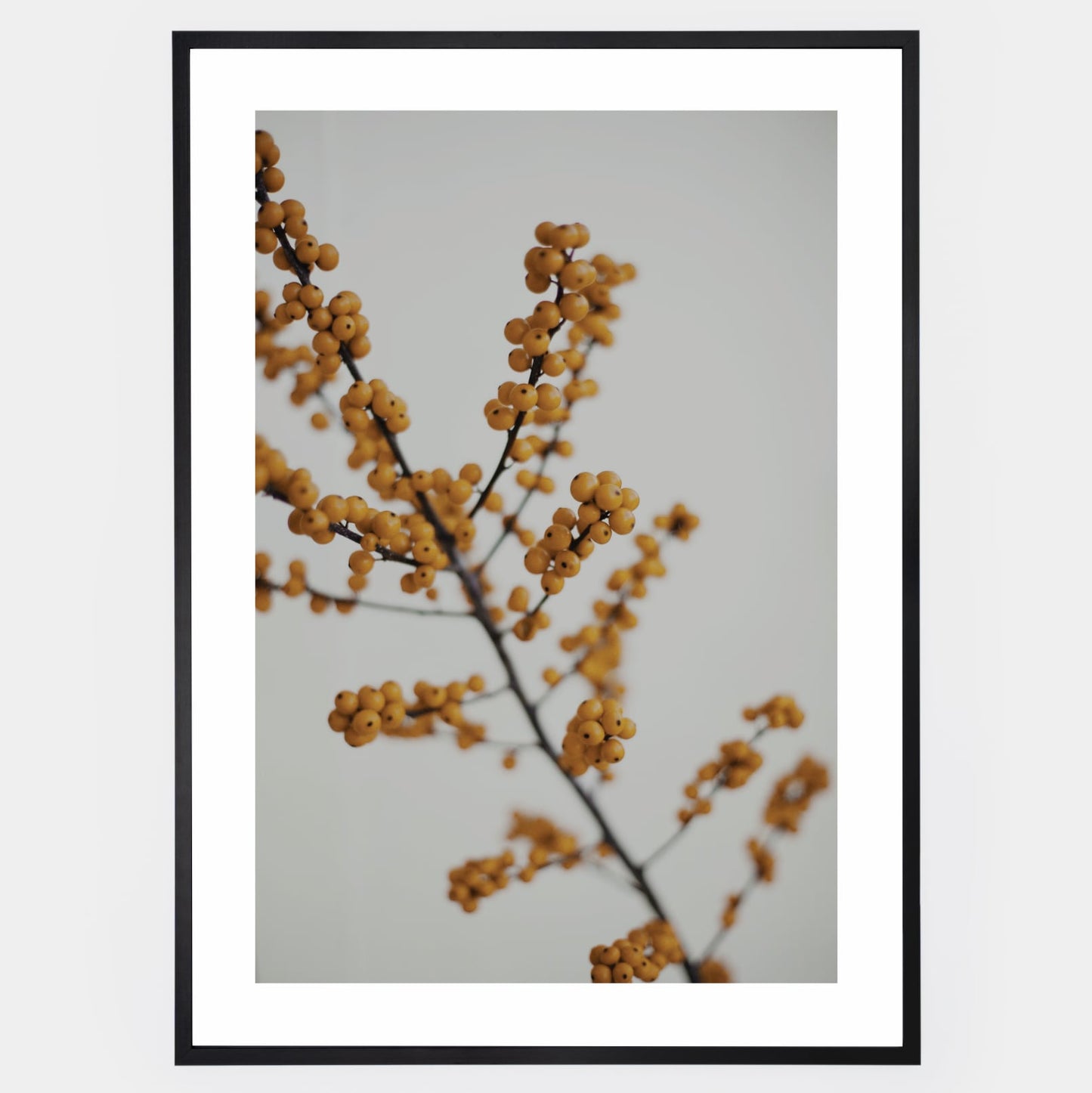 Poster with a photo of a twig