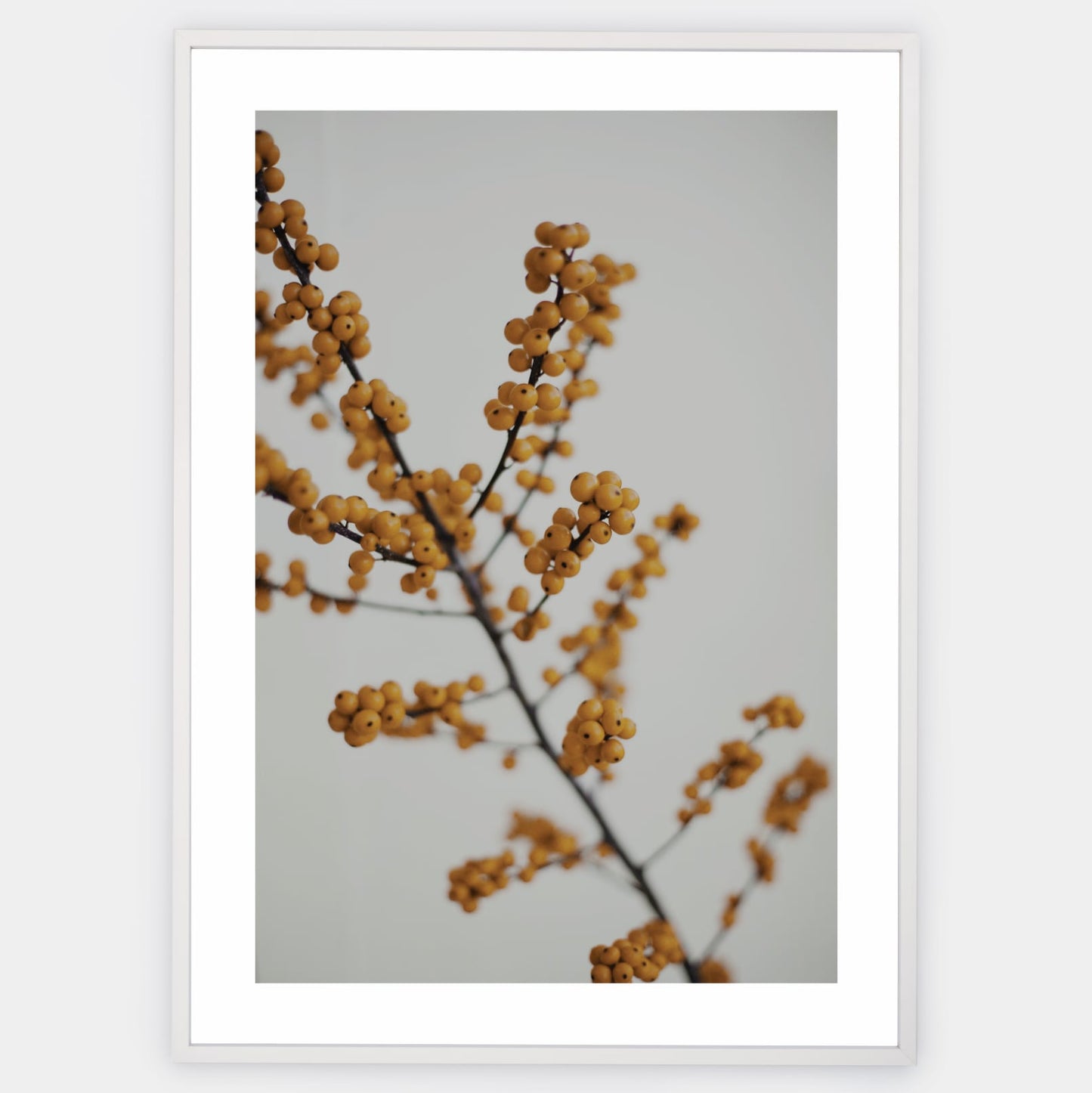 Poster with a photo of a twig