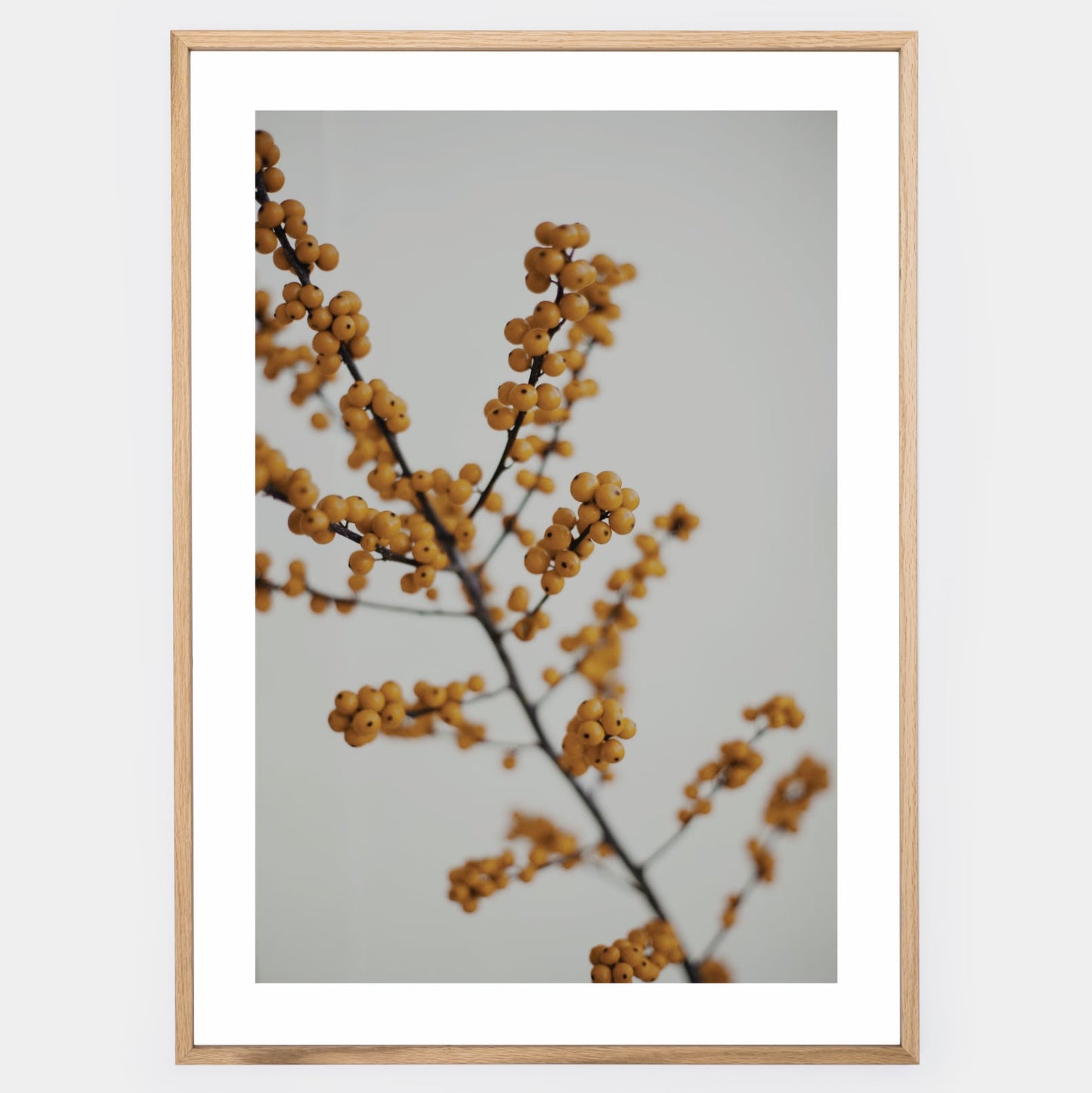 Poster with a photo of a twig