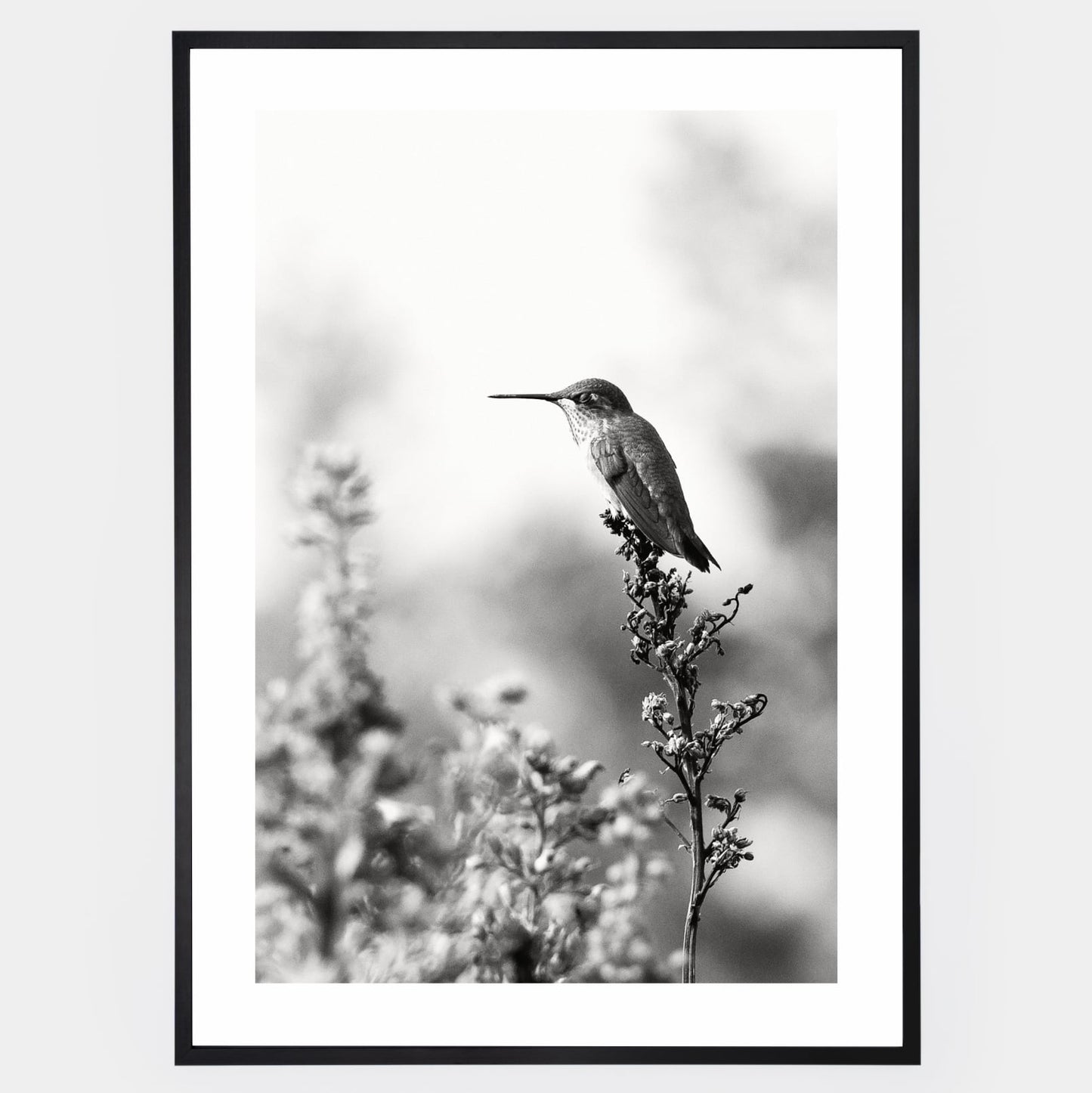 Poster with a photo of a hummingbird