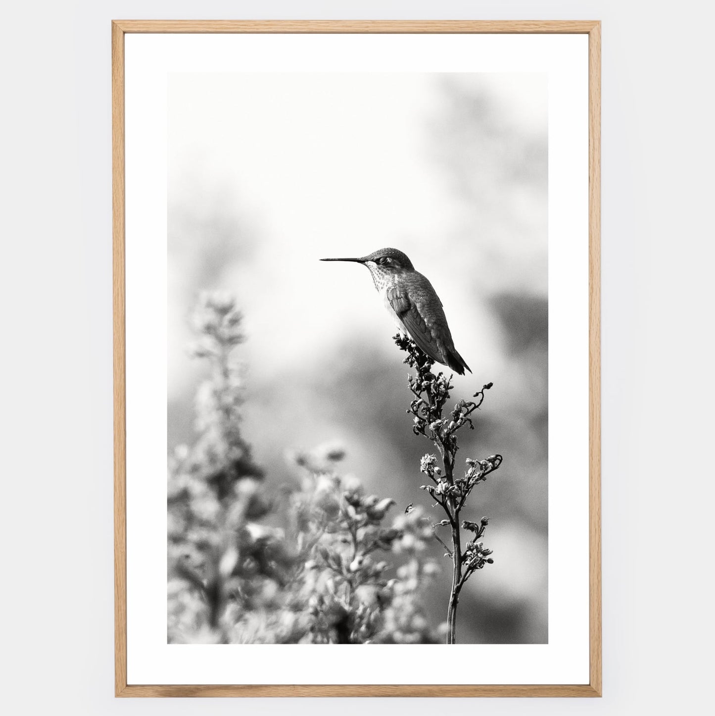 Poster with a photo of a hummingbird