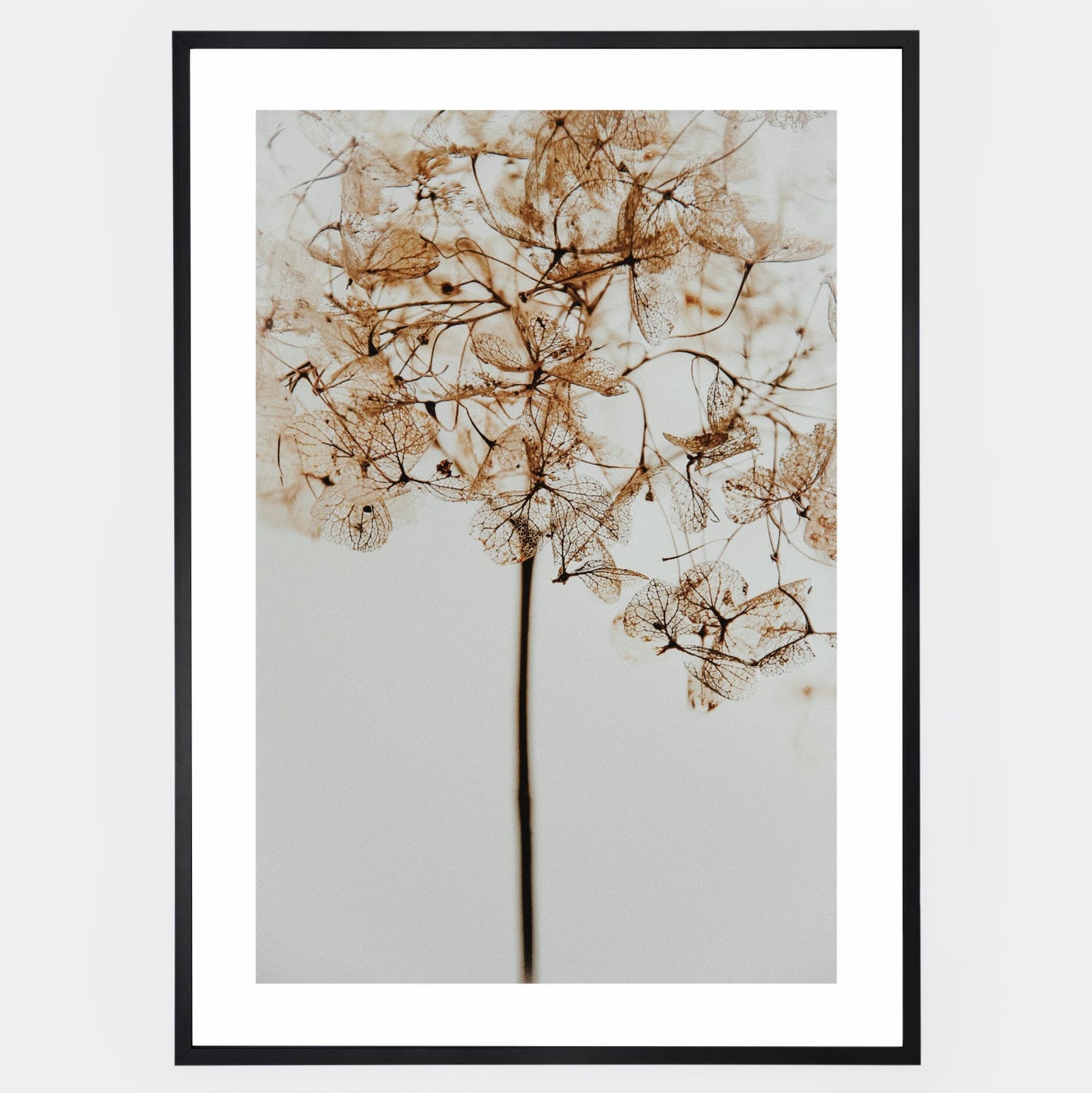 Poster with a photo of a dried flower