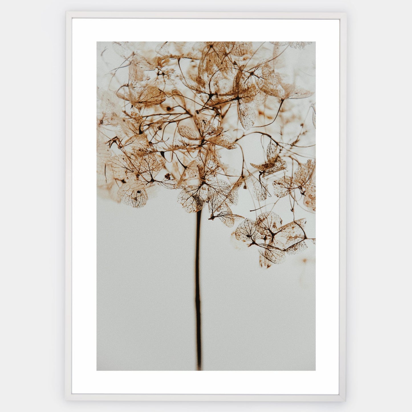 Poster with a photo of a dried flower