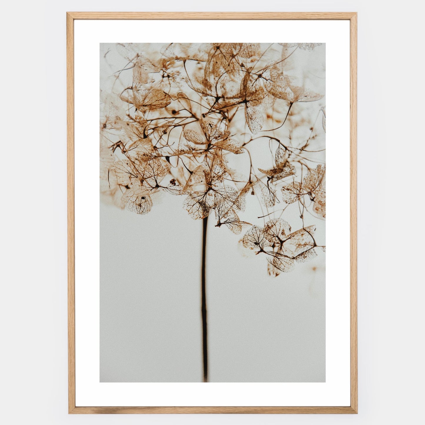 Poster with a photo of a dried flower