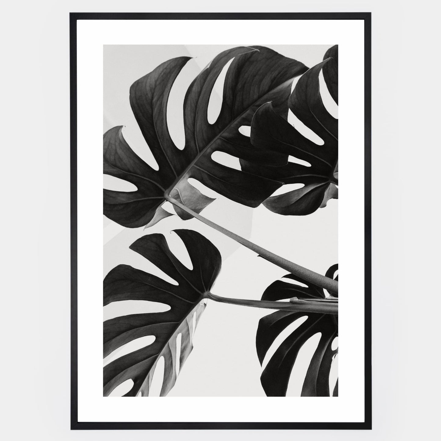Poster with a photo of monstera leaves