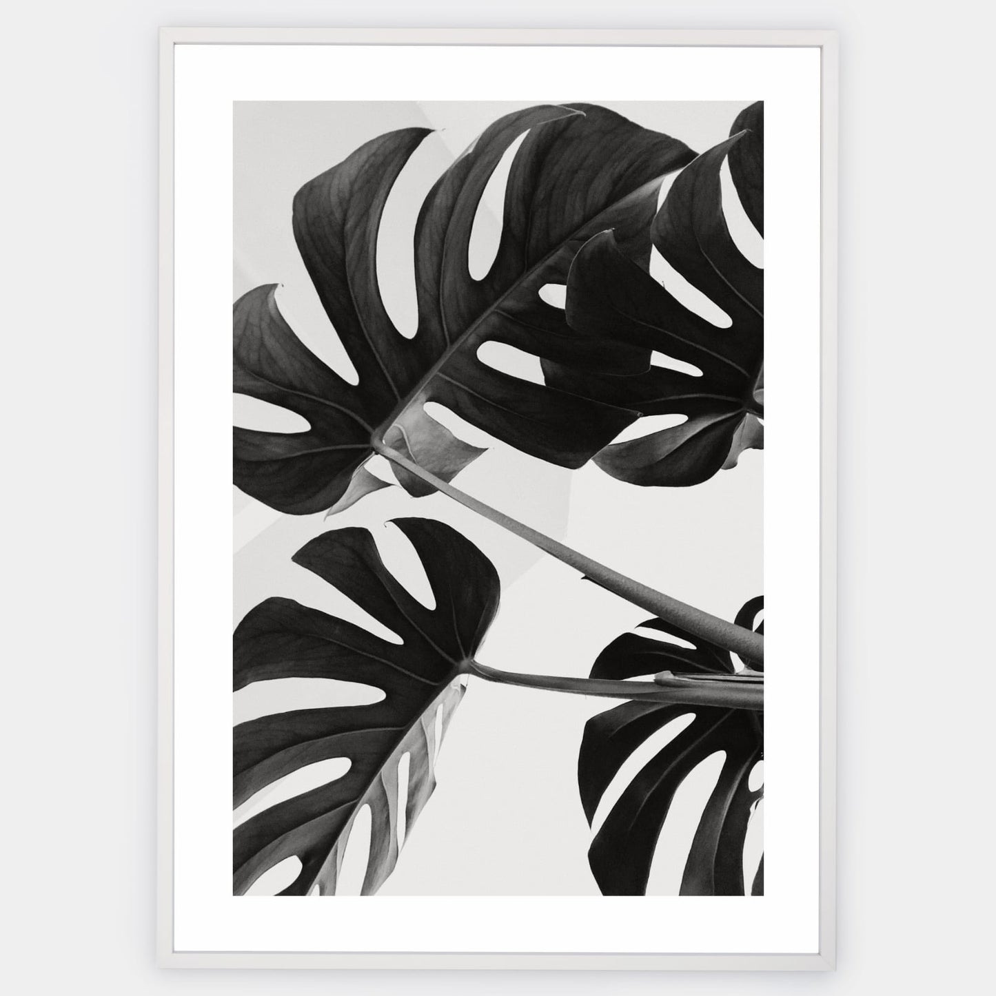 Poster with a photo of monstera leaves