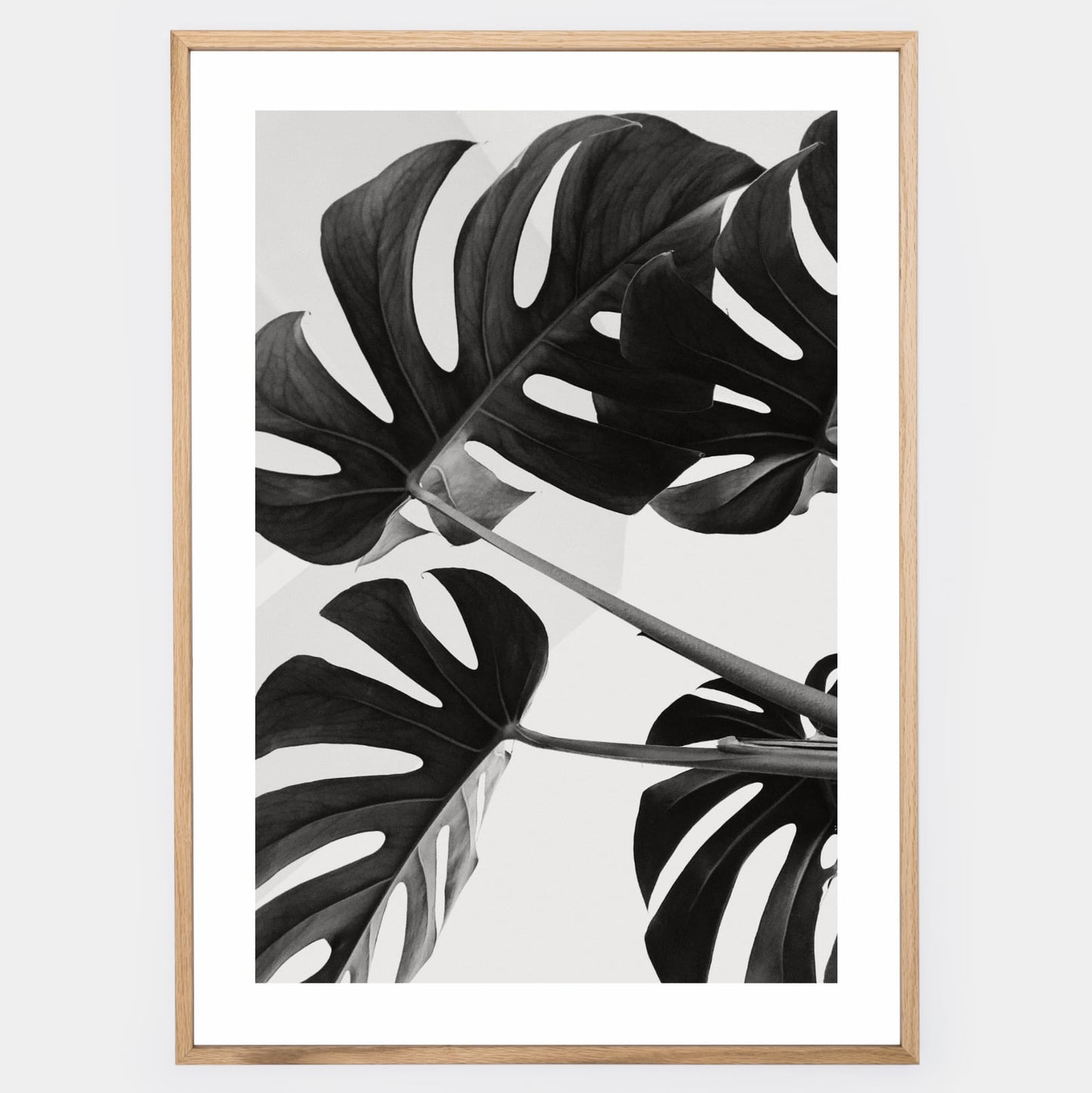 Poster with a photo of monstera leaves